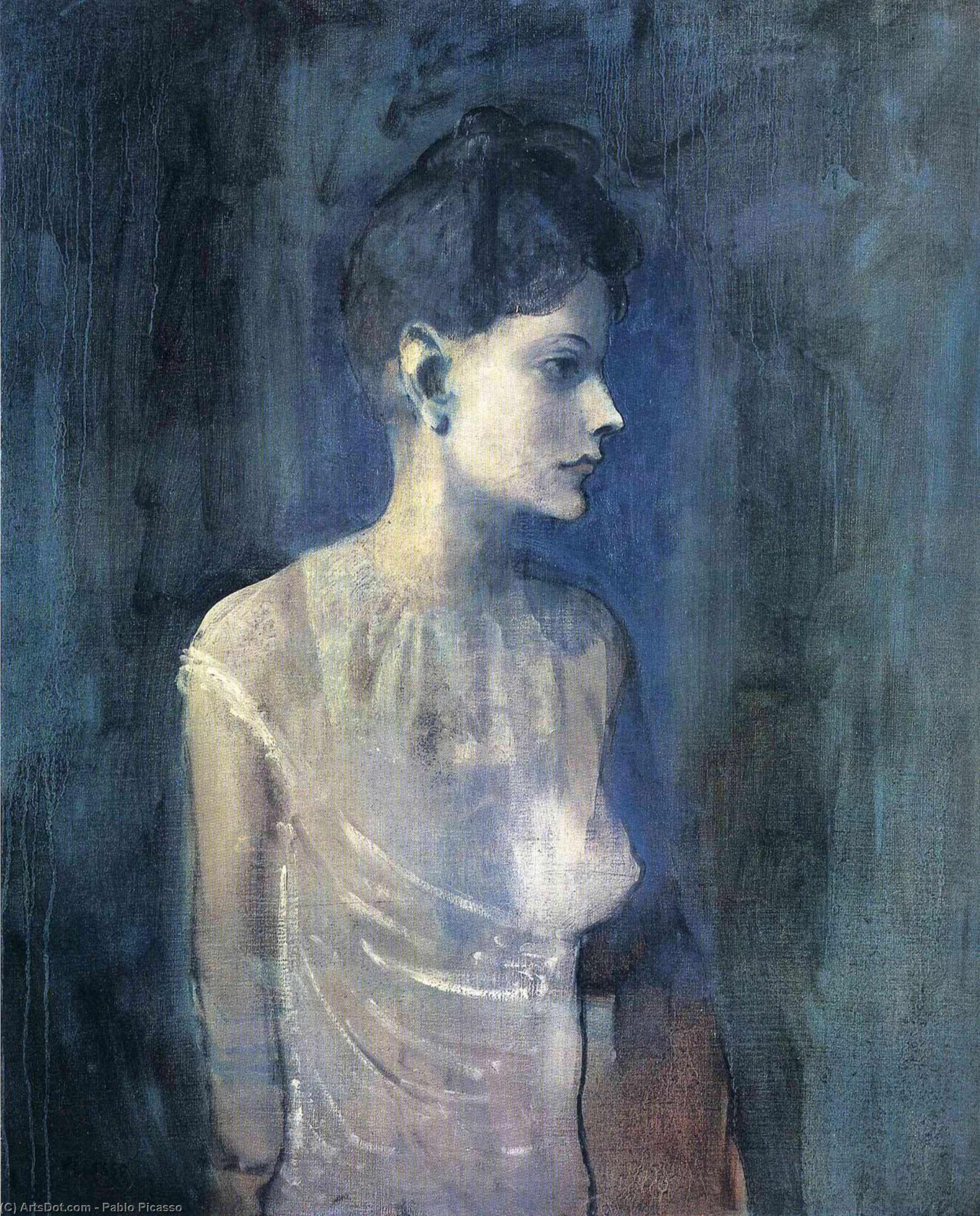 Wikioo.org - The Encyclopedia of Fine Arts - Painting, Artwork by Pablo Picasso - Portrait of seniora Soler (Girl in a chemise)