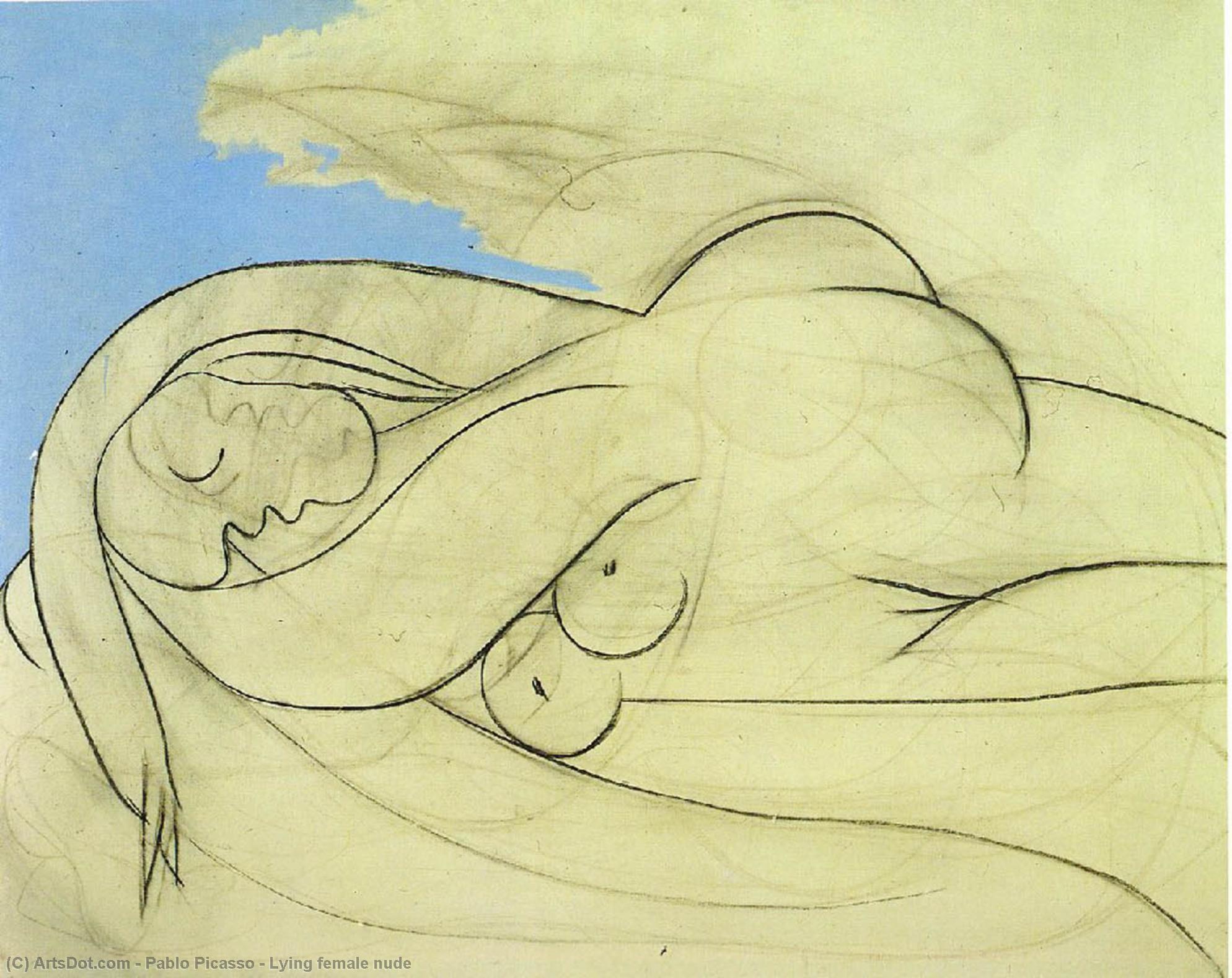Wikioo.org - The Encyclopedia of Fine Arts - Painting, Artwork by Pablo Picasso - Lying female nude
