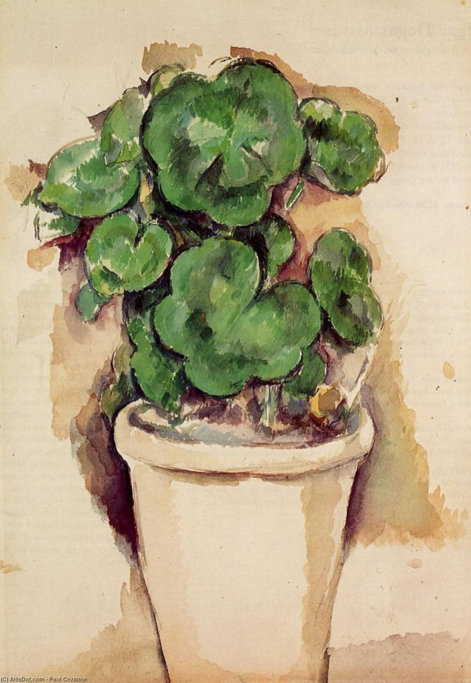WikiOO.org - Encyclopedia of Fine Arts - Festés, Grafika Paul Cezanne - Pot of Geraniums