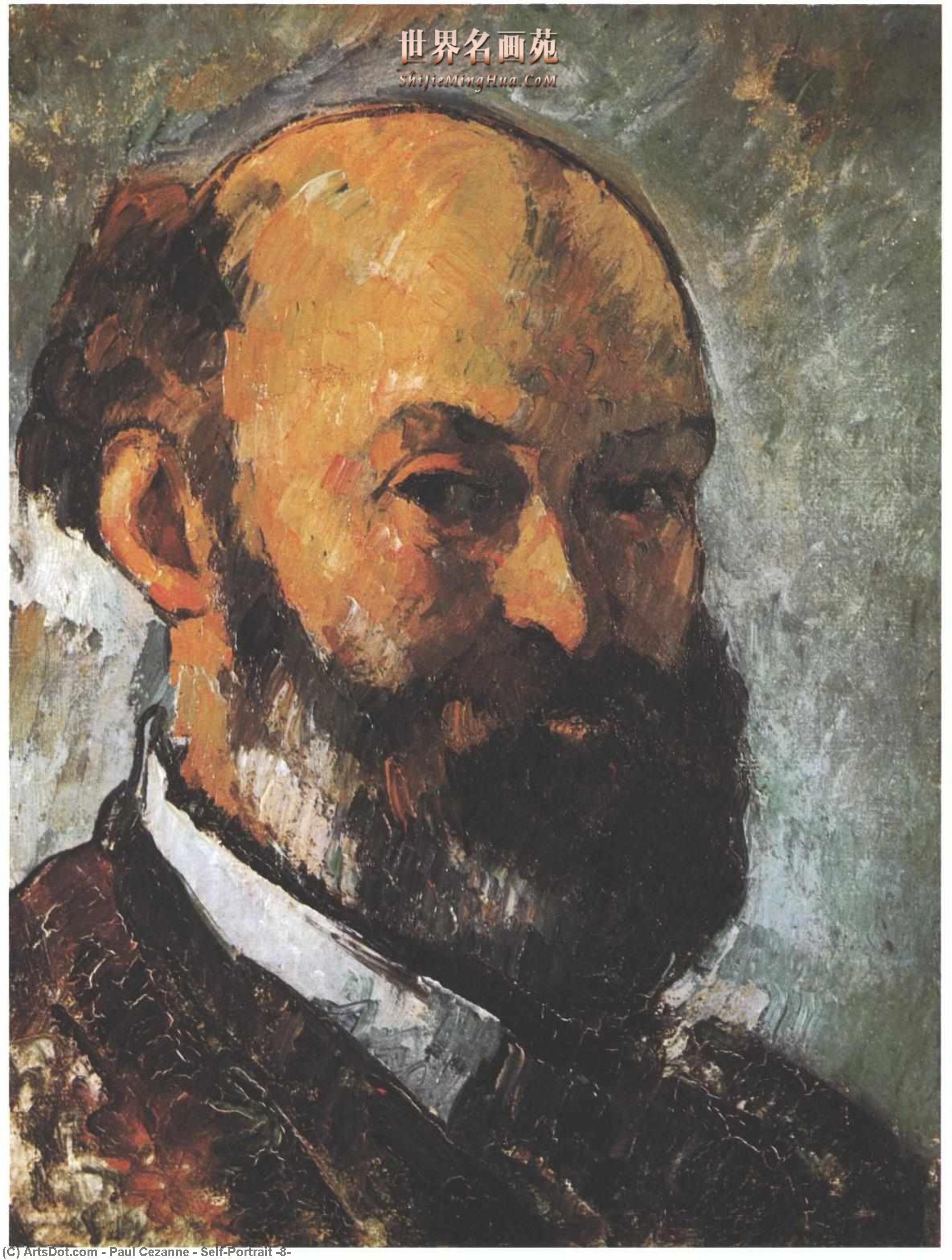 Wikioo.org - Die Enzyklopädie bildender Kunst - Malerei, Kunstwerk von Paul Cezanne - selbstporträt 8