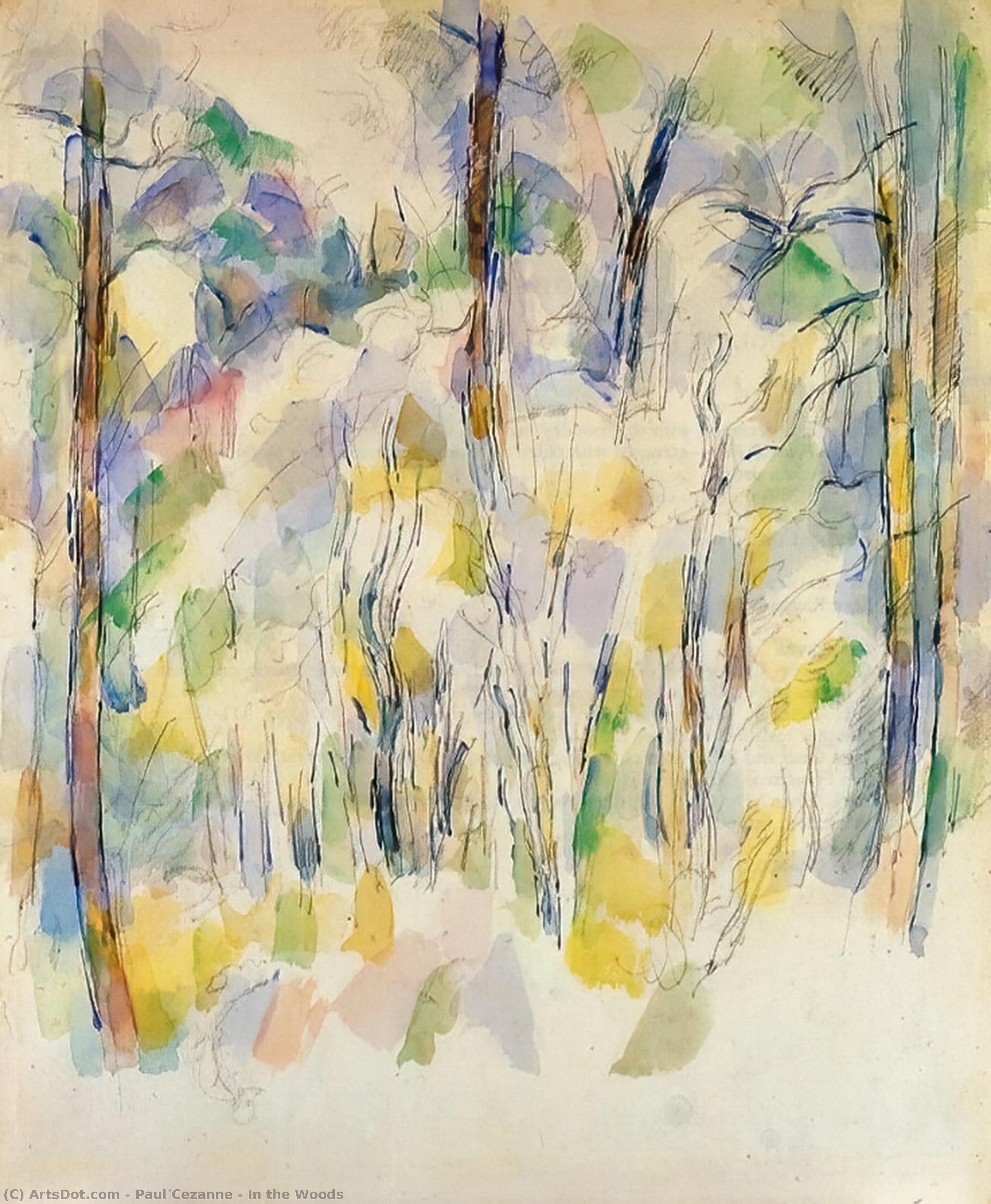 Wikioo.org - สารานุกรมวิจิตรศิลป์ - จิตรกรรม Paul Cezanne - In the Woods