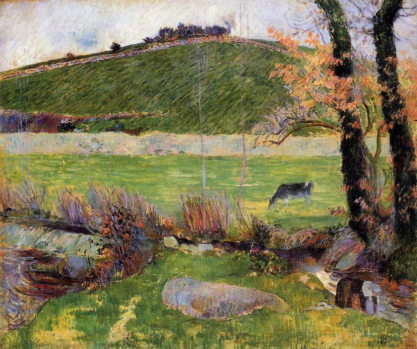 WikiOO.org - Encyclopedia of Fine Arts - Maleri, Artwork Paul Gauguin - Meadow at the banks of Aven