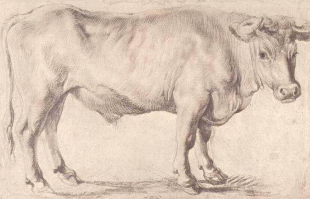 WikiOO.org - 百科事典 - 絵画、アートワーク Peter Paul Rubens - 雄牛