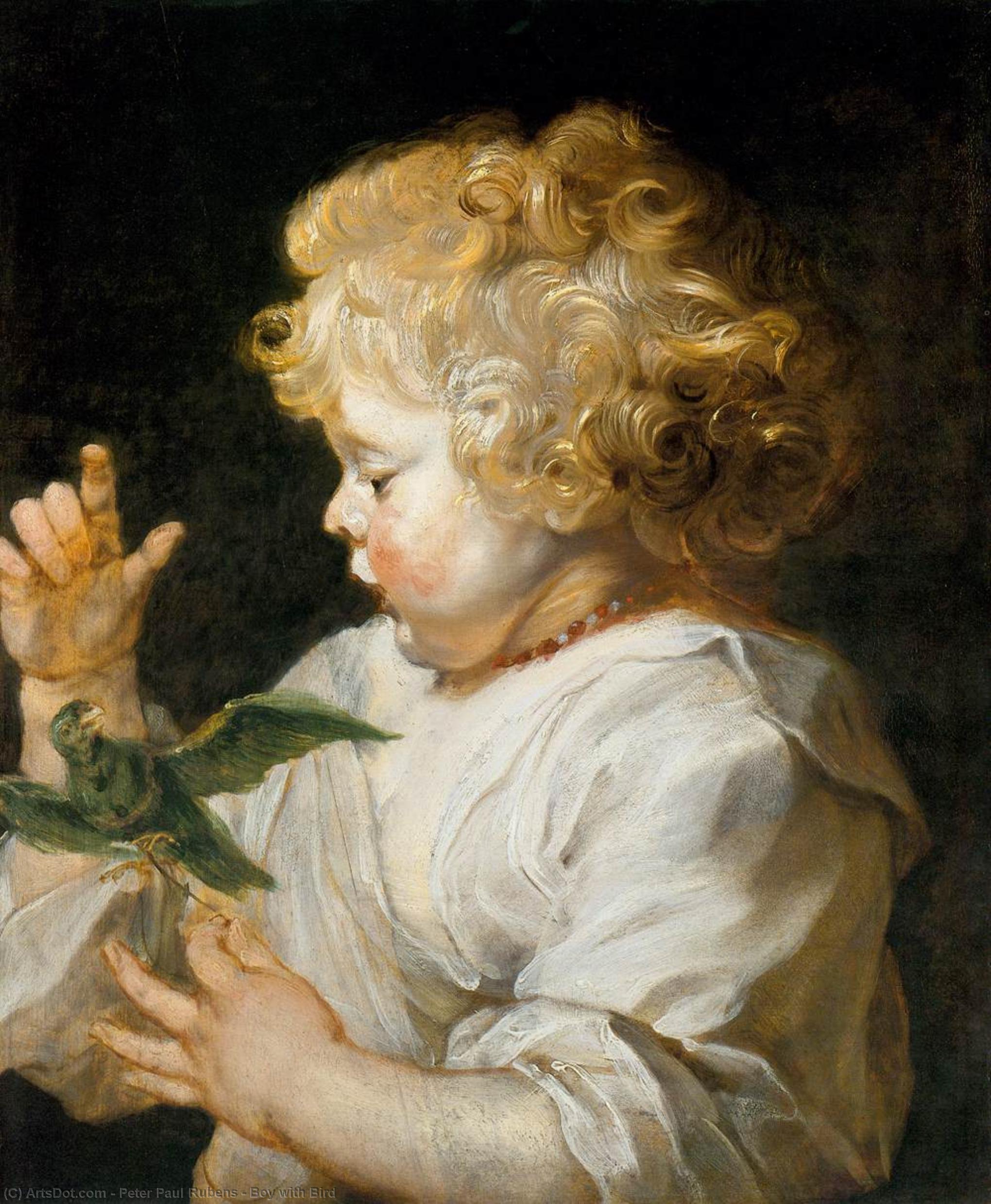 WikiOO.org - 百科事典 - 絵画、アートワーク Peter Paul Rubens - 男の子 と一緒に  鳥
