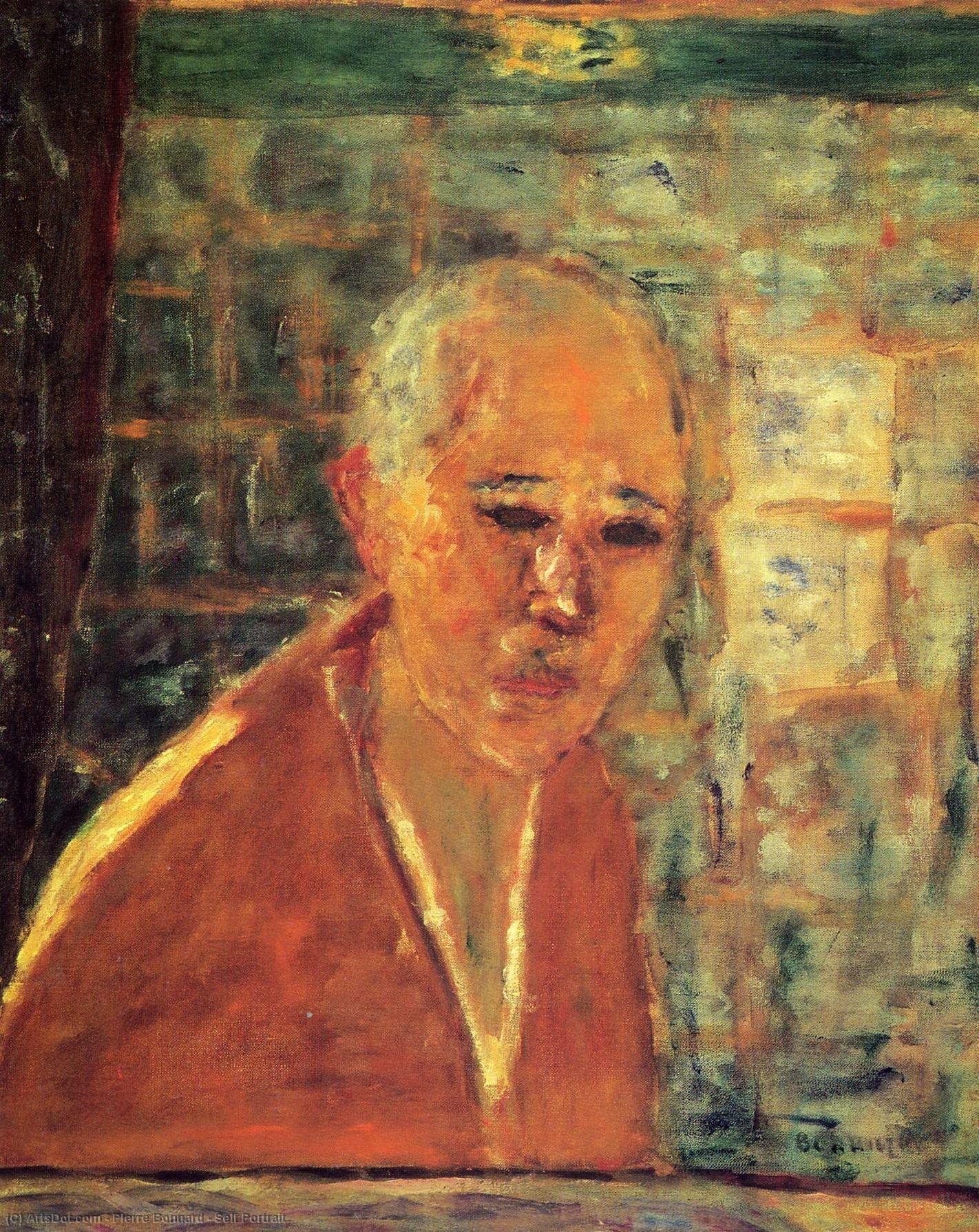 Wikioo.org - Bách khoa toàn thư về mỹ thuật - Vẽ tranh, Tác phẩm nghệ thuật Pierre Bonnard - Self Portrait