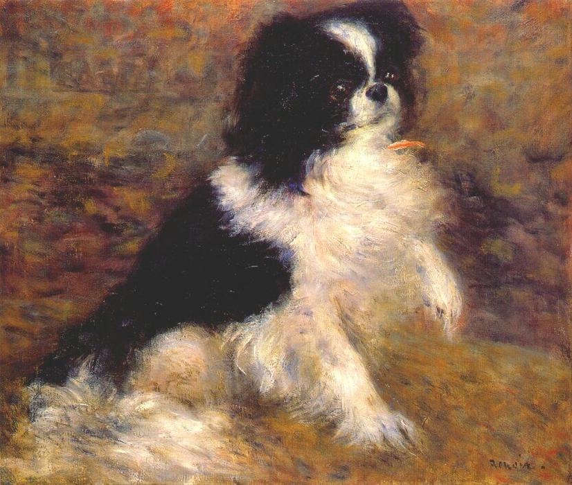 Wikioo.org - The Encyclopedia of Fine Arts - Painting, Artwork by Pierre-Auguste Renoir - Tama the japanese dog