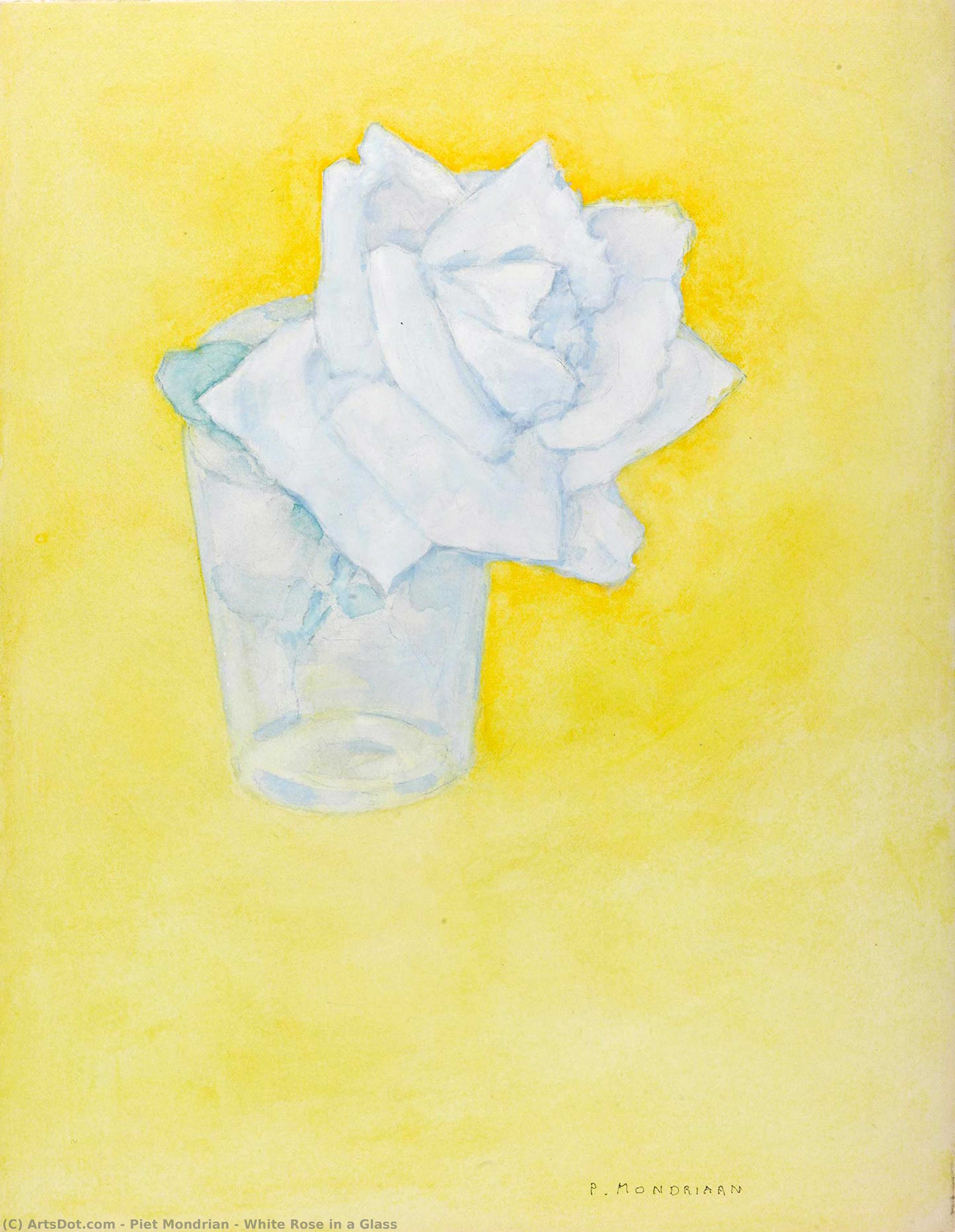 WikiOO.org – 美術百科全書 - 繪畫，作品 Piet Mondrian - 白玫瑰 在  一个  玻璃