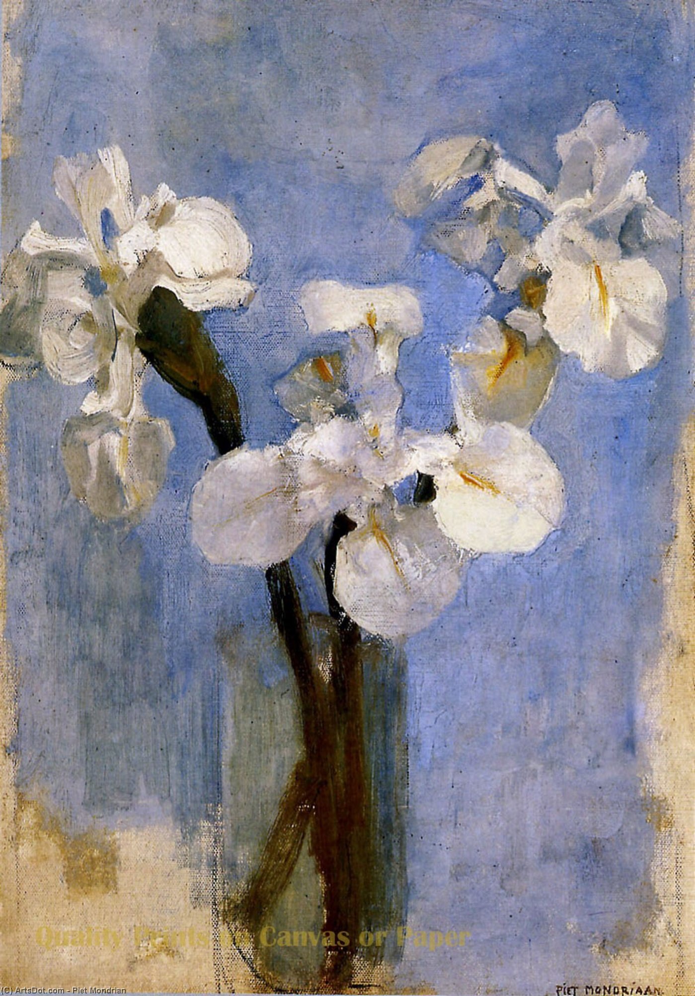 WikiOO.org - Enciklopedija dailės - Tapyba, meno kuriniai Piet Mondrian - Flowers Sun