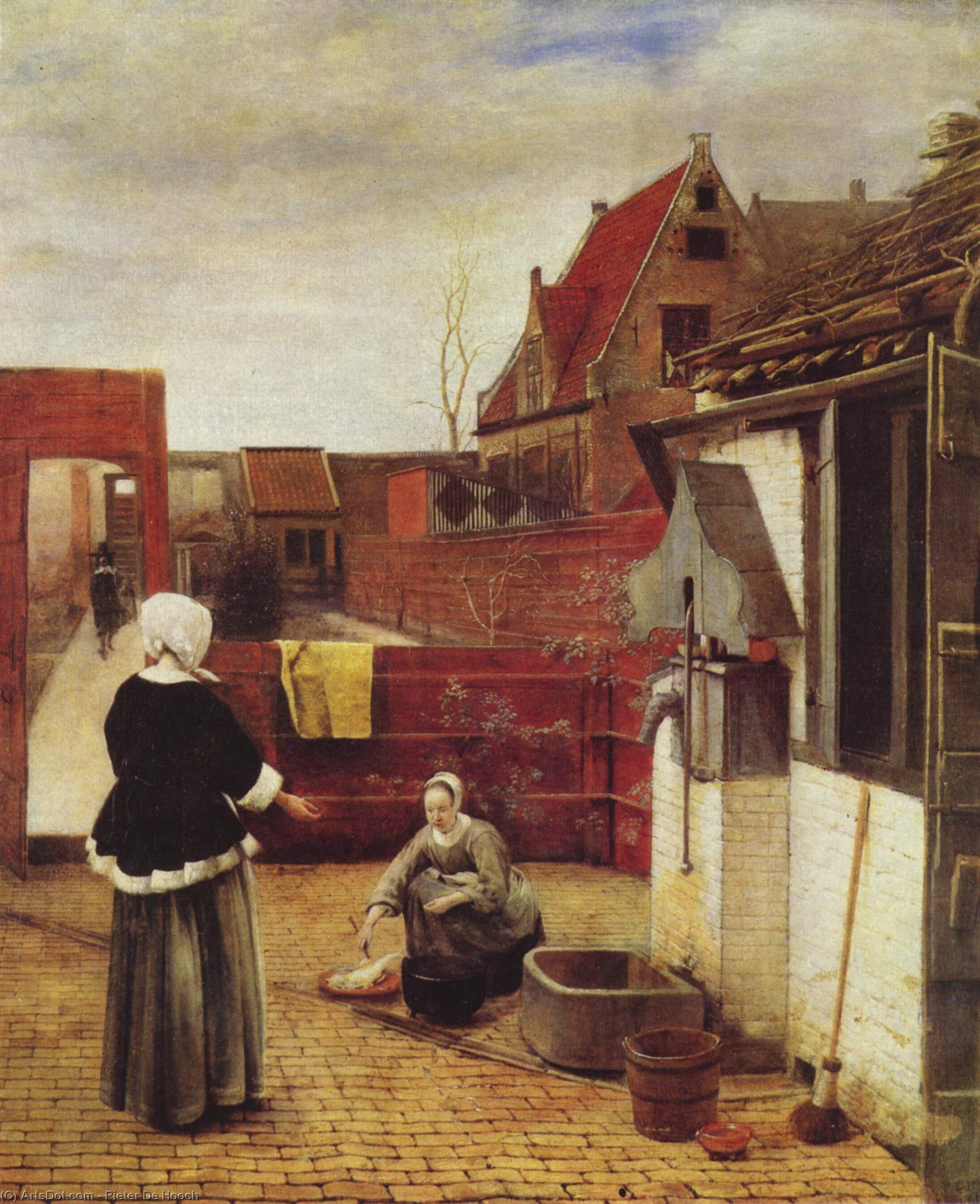 Wikioo.org - The Encyclopedia of Fine Arts - Painting, Artwork by Pieter De Hooch - A Woman and a Maid in a Courtyard