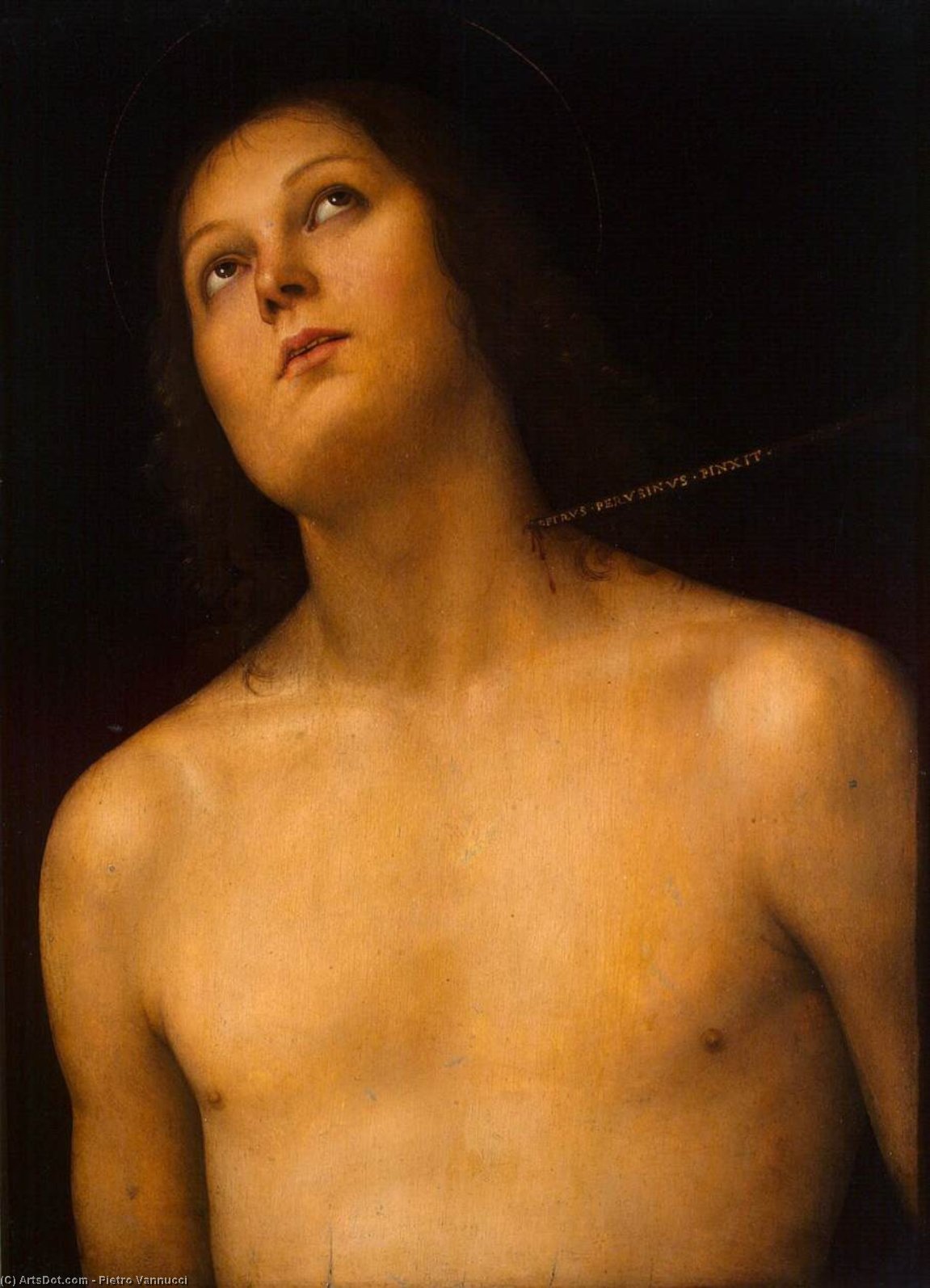 Wikioo.org - The Encyclopedia of Fine Arts - Painting, Artwork by Vannucci Pietro (Le Perugin) - Bust of St Sebastian
