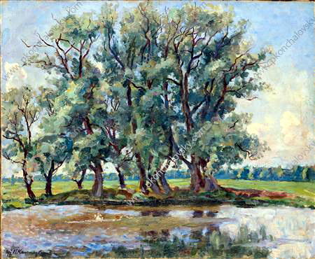 Wikioo.org - The Encyclopedia of Fine Arts - Painting, Artwork by Pyotr Konchalovsky - Okorokovo. Pond.