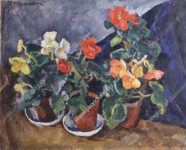 WikiOO.org - Encyclopedia of Fine Arts - Maľba, Artwork Pyotr Konchalovsky - Begonias