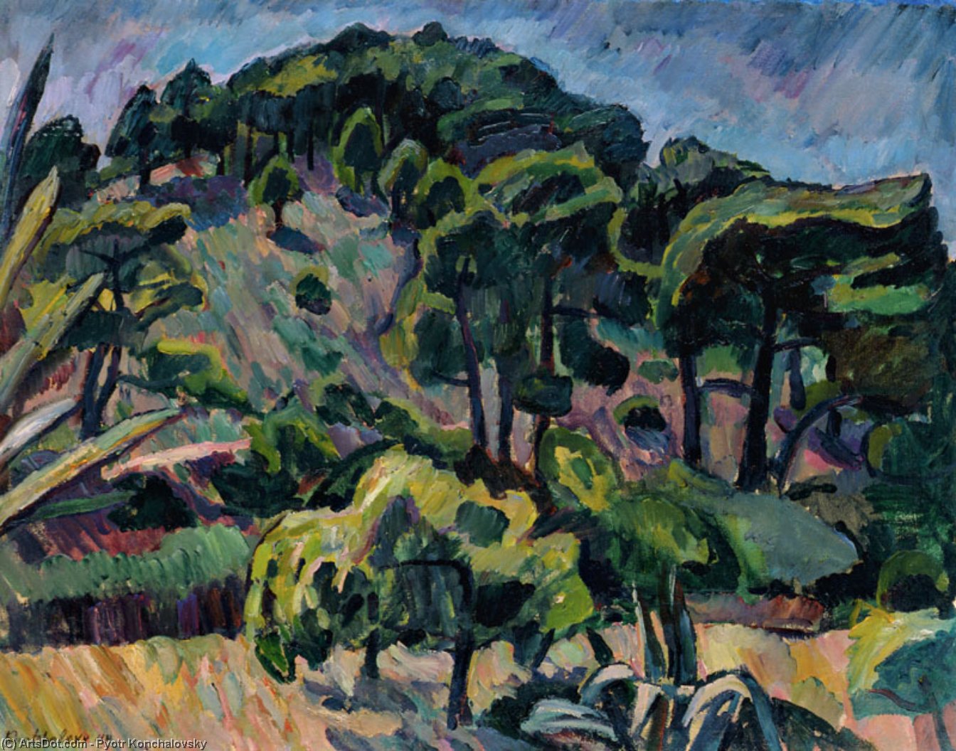 Wikioo.org - The Encyclopedia of Fine Arts - Painting, Artwork by Pyotr Konchalovsky - France. Mountain Lavender.