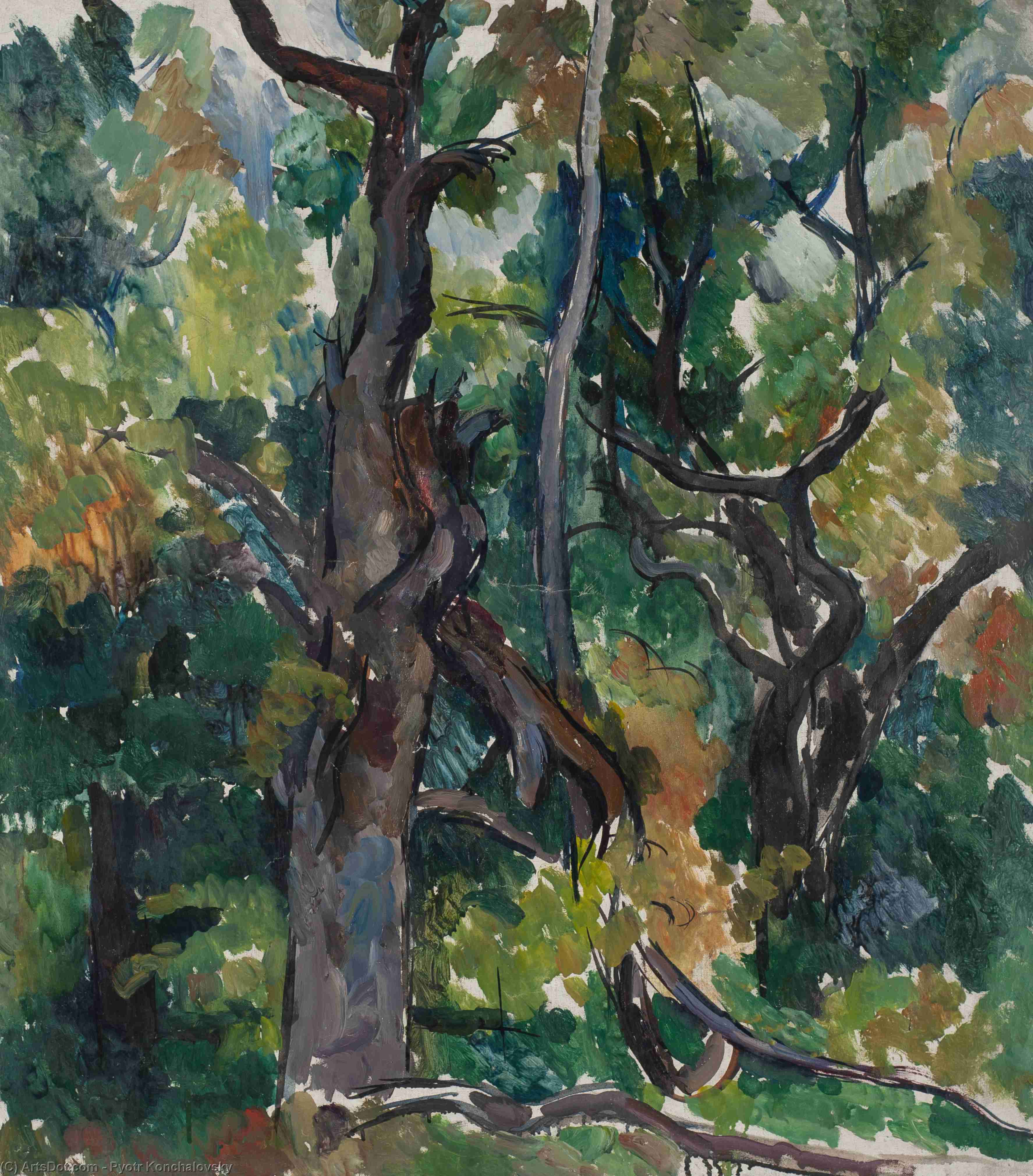 Wikioo.org - สารานุกรมวิจิตรศิลป์ - จิตรกรรม Pyotr Konchalovsky - Oak tree