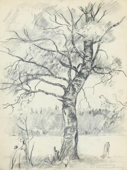 WikiOO.org - Encyclopedia of Fine Arts - Lukisan, Artwork Pyotr Konchalovsky - Birch tree