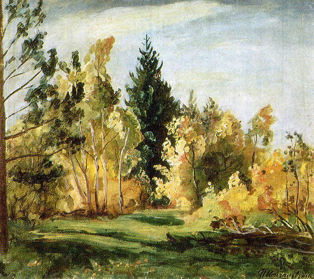 Wikioo.org - The Encyclopedia of Fine Arts - Painting, Artwork by Pyotr Konchalovsky - A ray of sunlight. The forest.