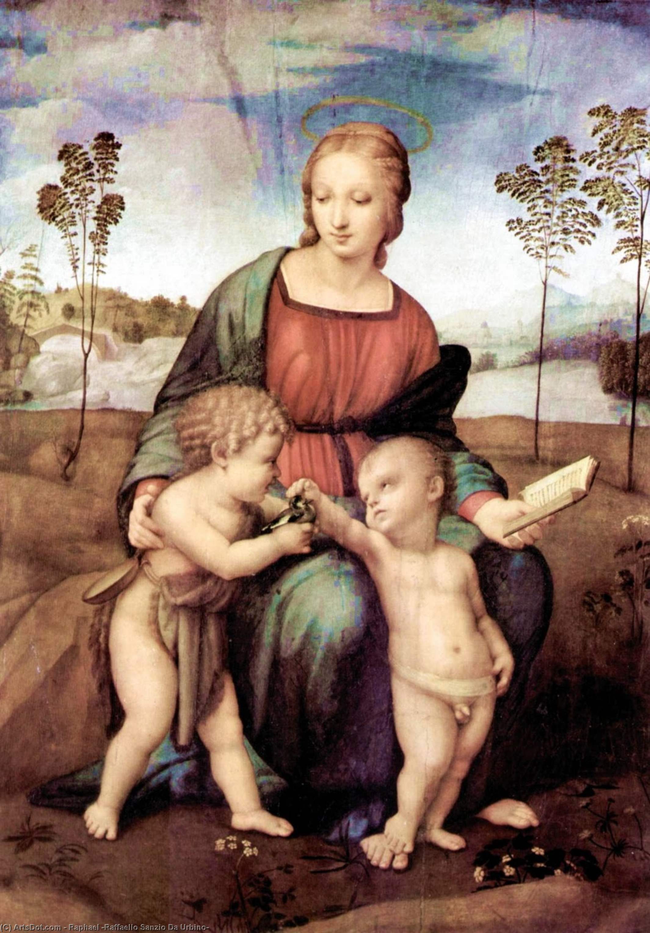 Wikoo.org - موسوعة الفنون الجميلة - اللوحة، العمل الفني Raphael (Raffaello Sanzio Da Urbino) - Madonna of the Goldfinch