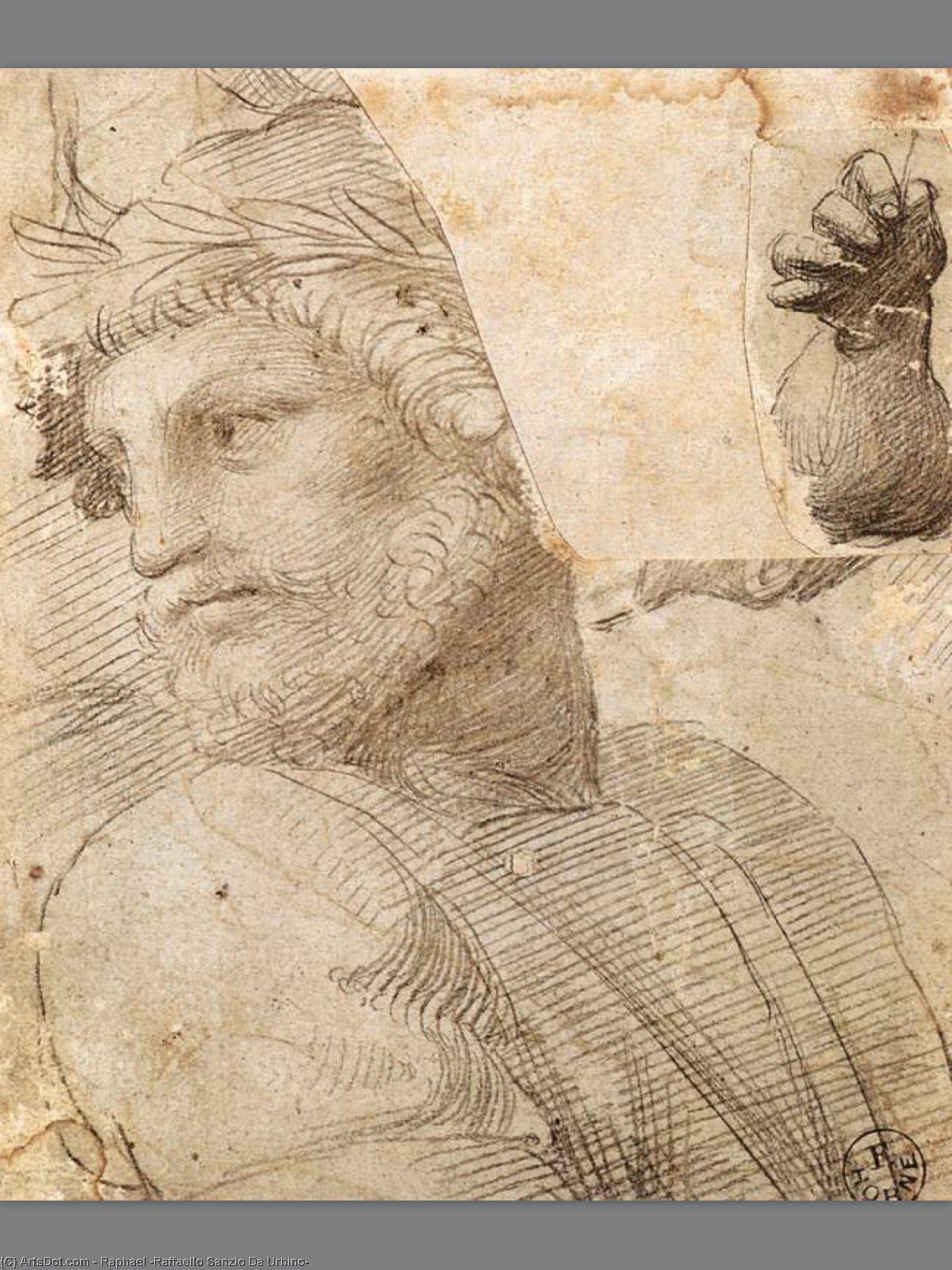 WikiOO.org - Enciklopedija dailės - Tapyba, meno kuriniai Raphael (Raffaello Sanzio Da Urbino) - Study for the Head of a Poet
