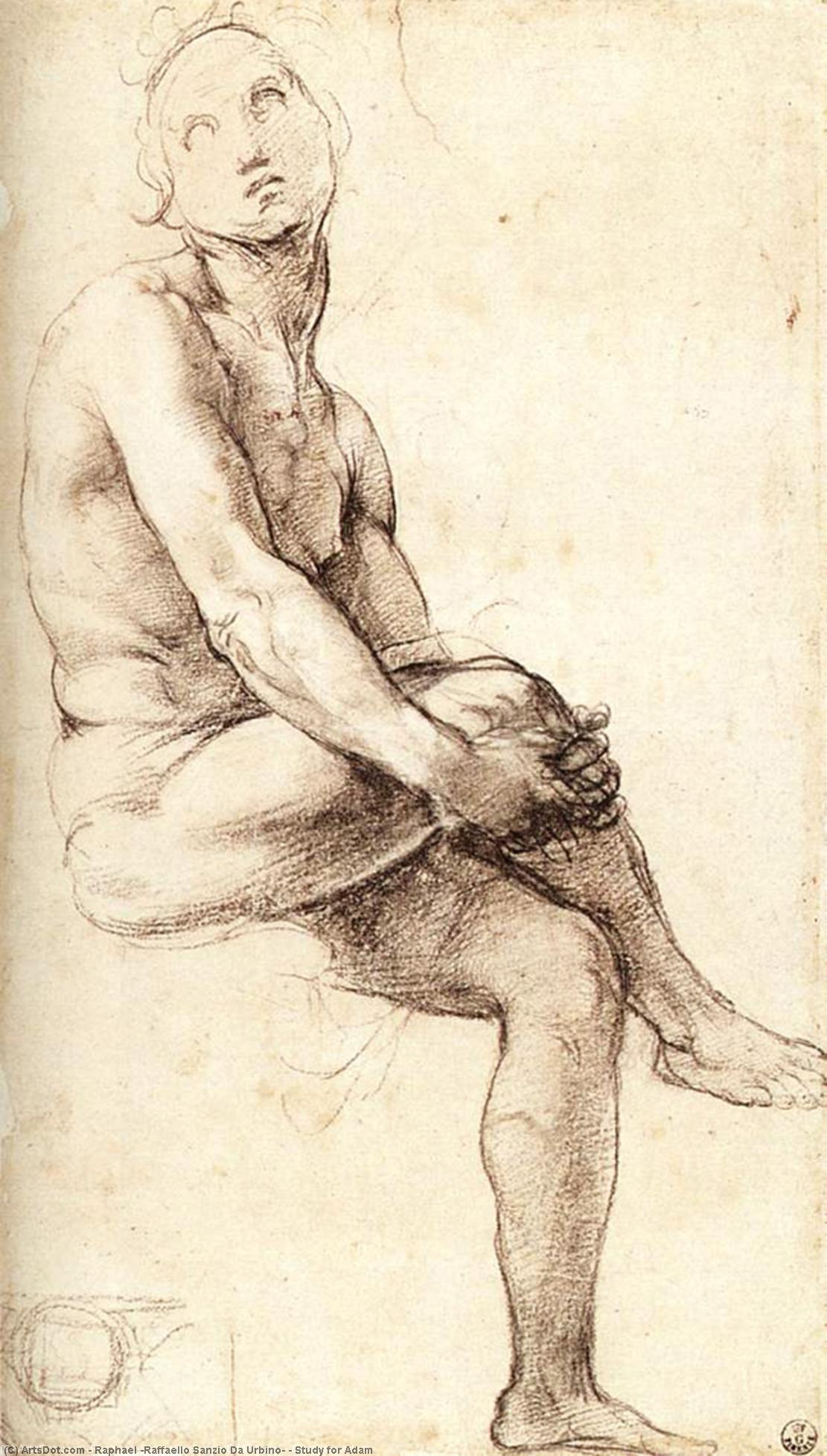 Wikioo.org - Bách khoa toàn thư về mỹ thuật - Vẽ tranh, Tác phẩm nghệ thuật Raphael (Raffaello Sanzio Da Urbino) - Study for Adam