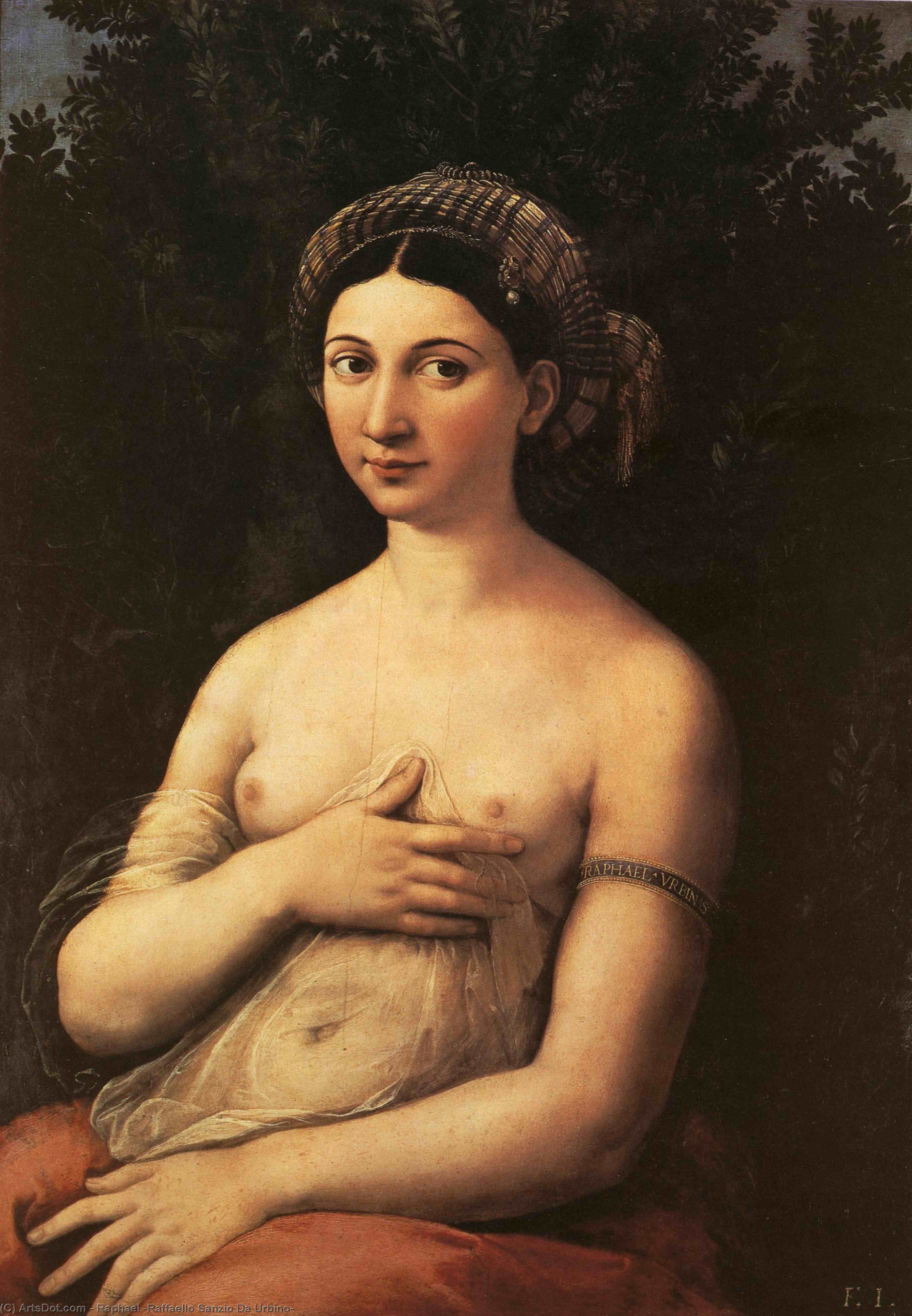 Wikioo.org - Bách khoa toàn thư về mỹ thuật - Vẽ tranh, Tác phẩm nghệ thuật Raphael (Raffaello Sanzio Da Urbino) - The Portrait of a Young Woman (La fornarina)