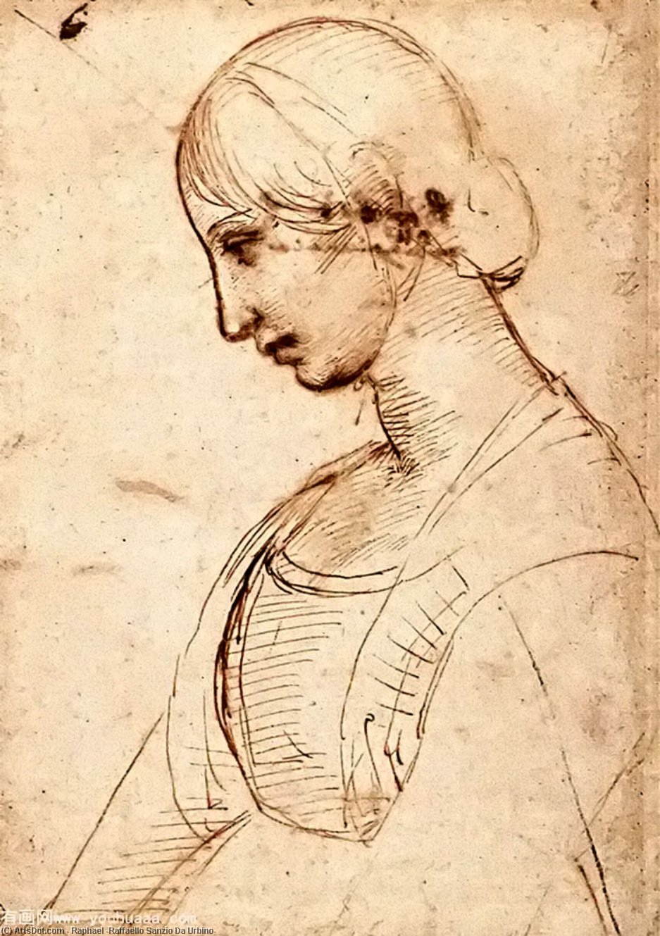Wikioo.org - Bách khoa toàn thư về mỹ thuật - Vẽ tranh, Tác phẩm nghệ thuật Raphael (Raffaello Sanzio Da Urbino) - Portrait of a young woman
