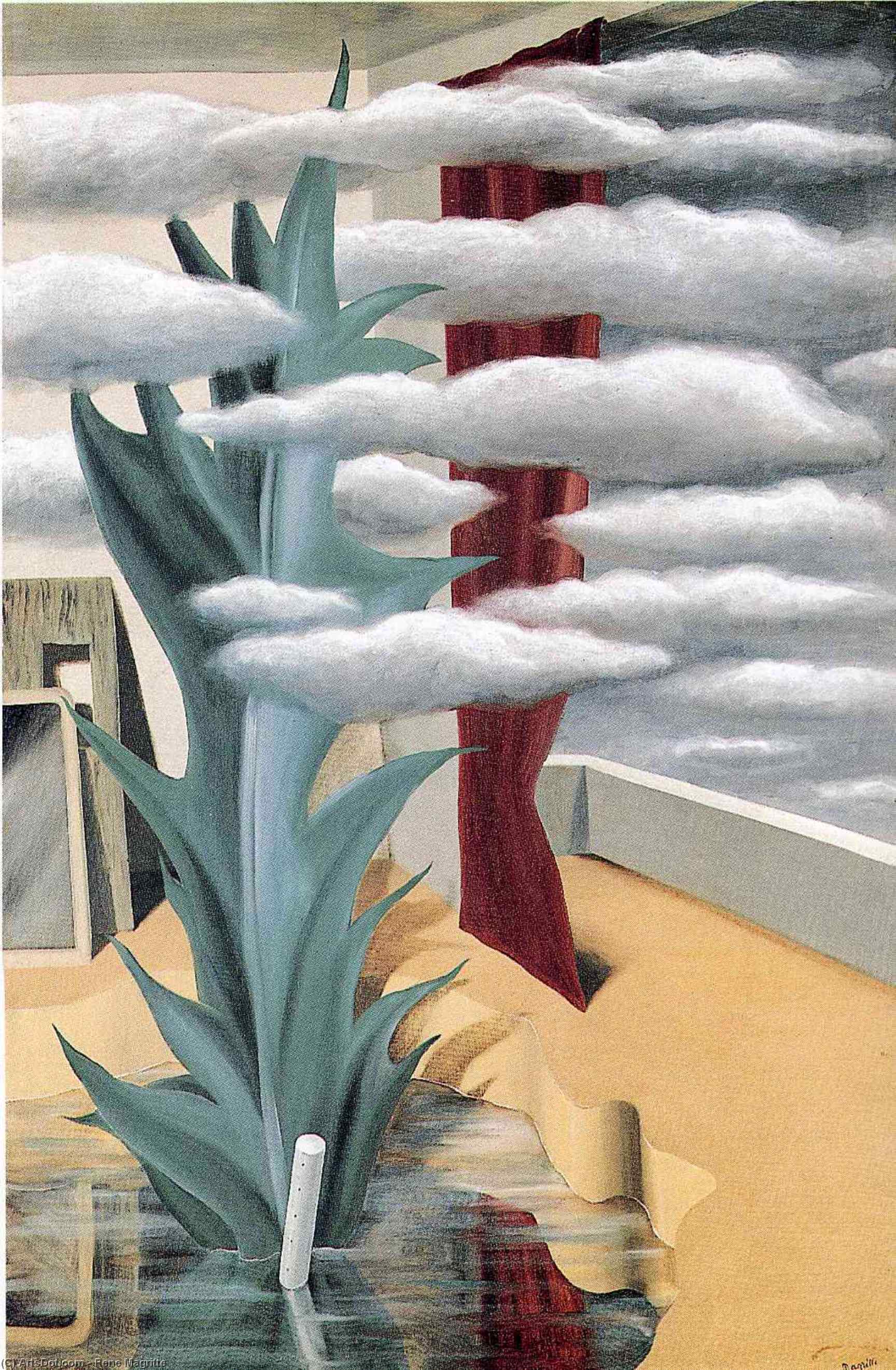 Wikioo.org – La Enciclopedia de las Bellas Artes - Pintura, Obras de arte de Rene Magritte - después de agua  el  nubes