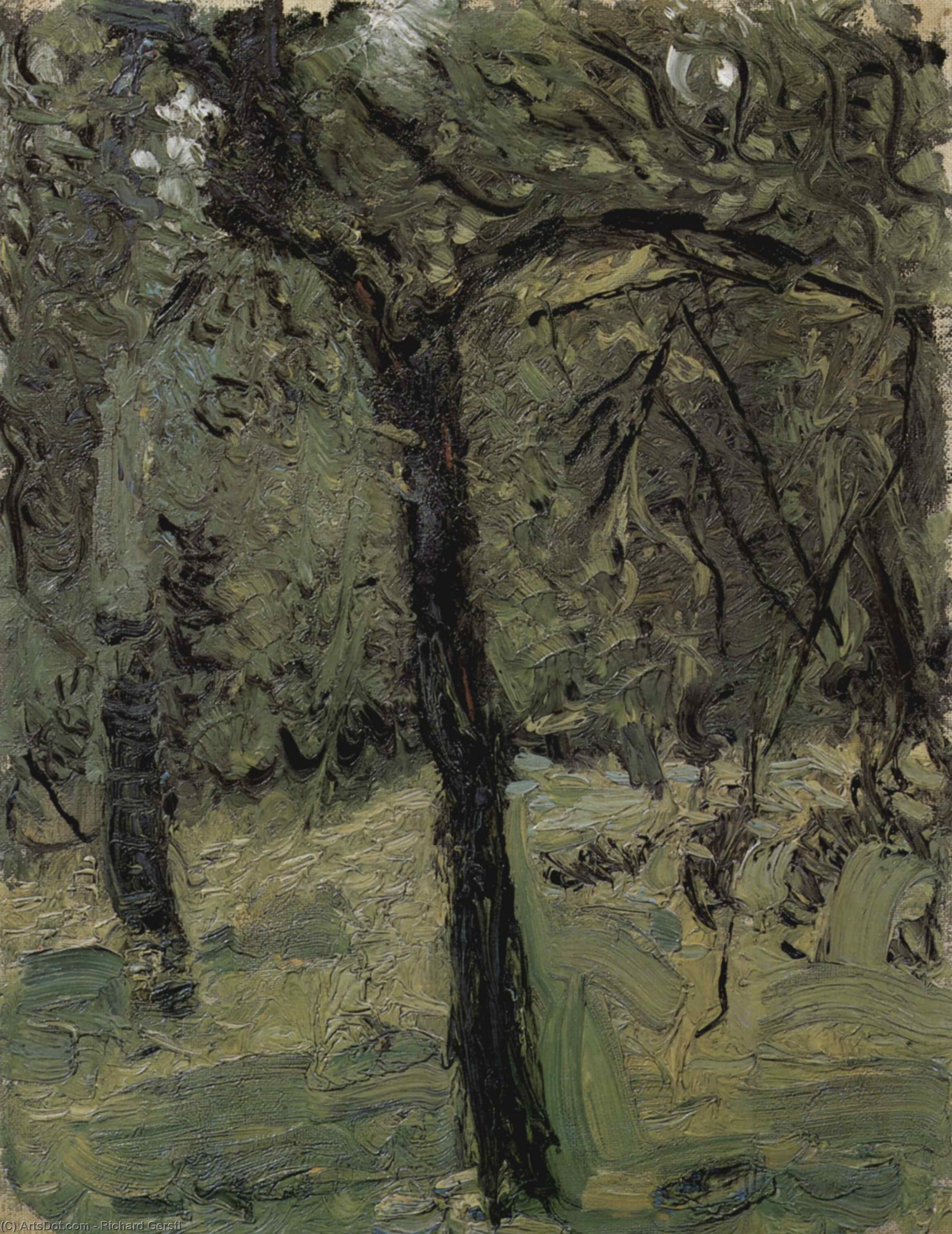 Wikioo.org – L'Encyclopédie des Beaux Arts - Peinture, Oeuvre de Richard Gerstl - ensoleillé pré  avec  fruits  arbres