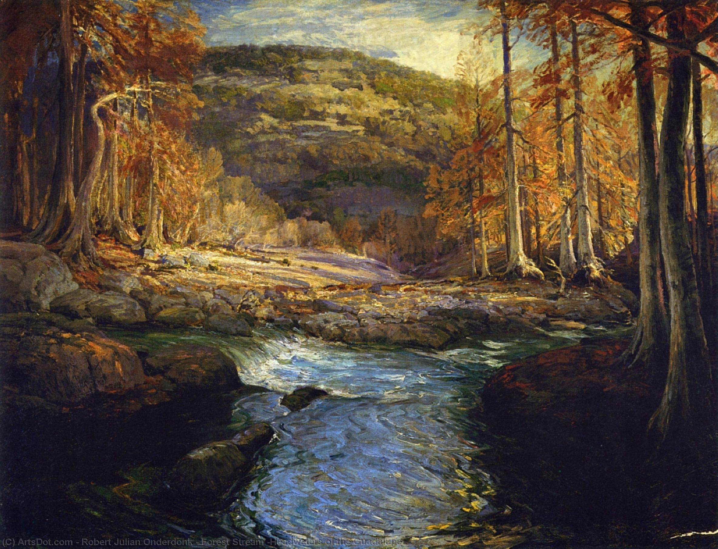 Wikioo.org - The Encyclopedia of Fine Arts - Painting, Artwork by Robert Julian Onderdonk - Forest Stream (Headwaters of the Guadalupe)