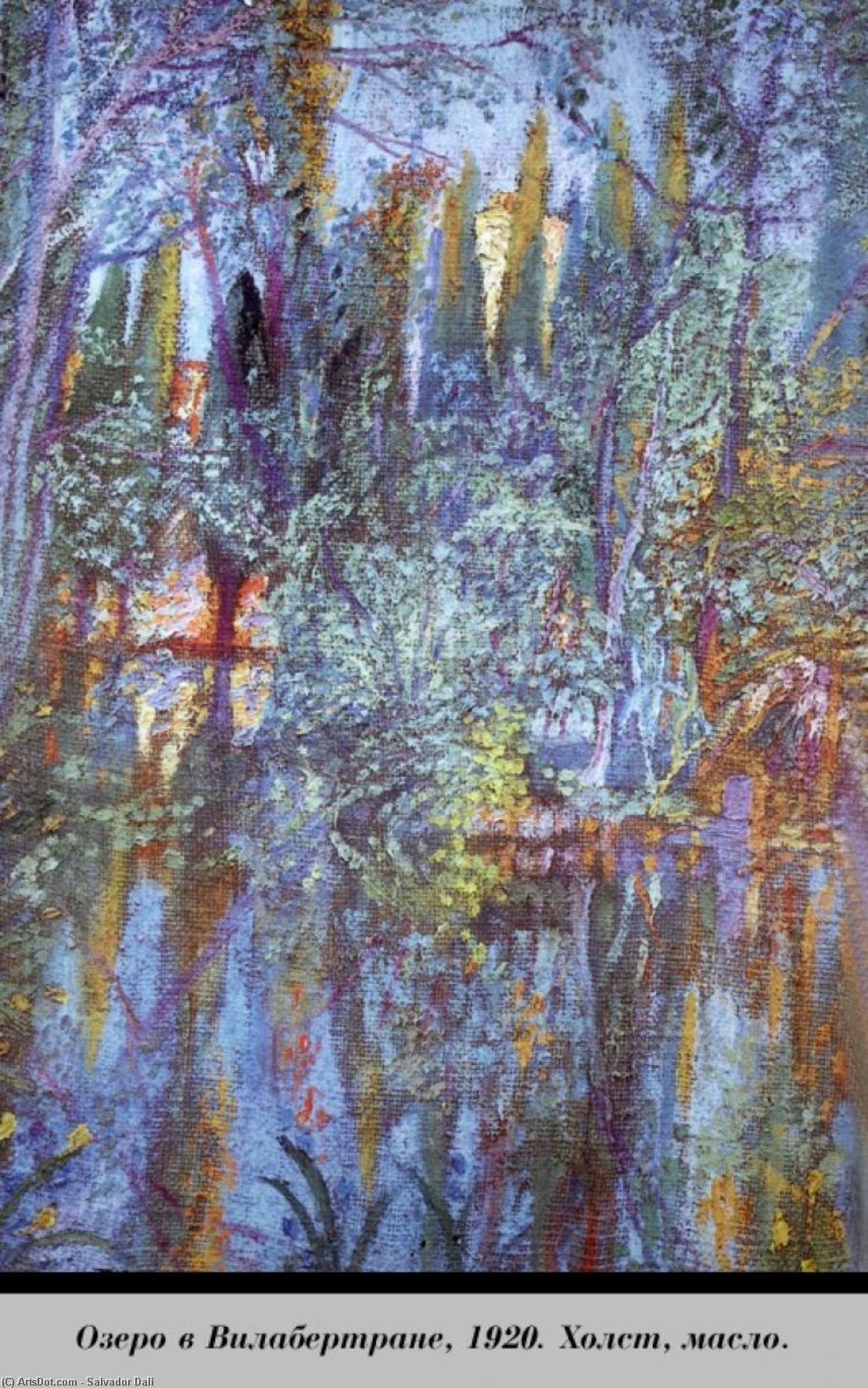 Wikioo.org - The Encyclopedia of Fine Arts - Painting, Artwork by Salvador Dali - The Lake at Vilabertran