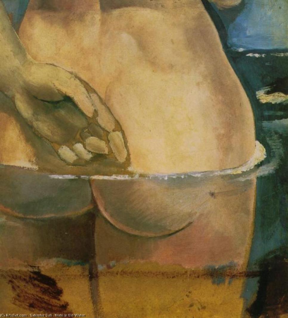 Wikioo.org - The Encyclopedia of Fine Arts - Painting, Artwork by Salvador Dali - Nude in the Water