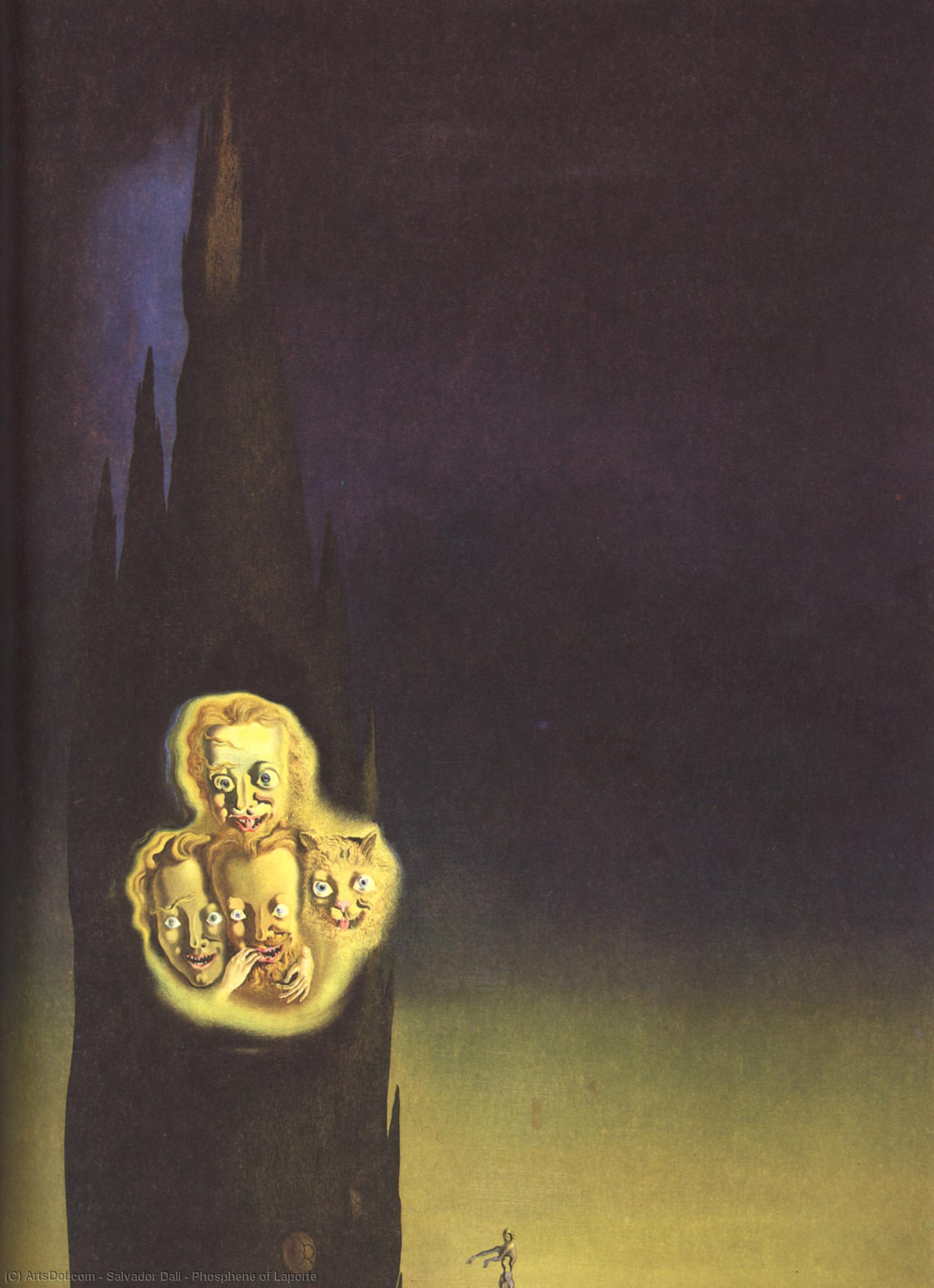 Wikioo.org - The Encyclopedia of Fine Arts - Painting, Artwork by Salvador Dali - Phosphene of Laporte