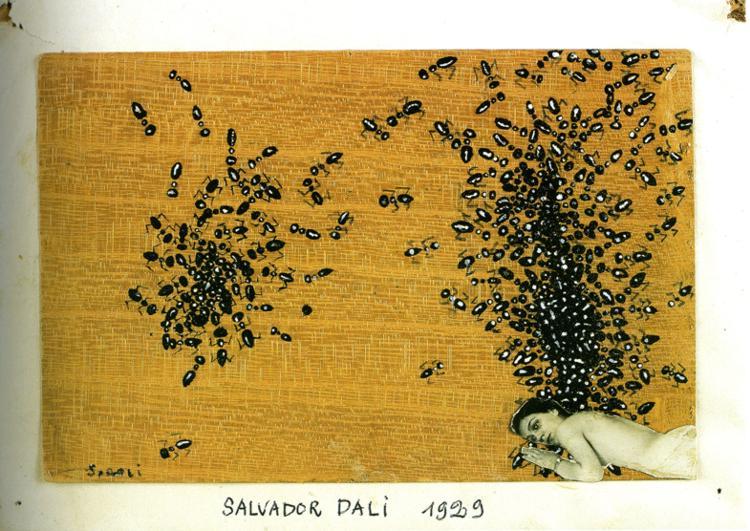 Wikioo.org - The Encyclopedia of Fine Arts - Painting, Artwork by Salvador Dali - The Ants