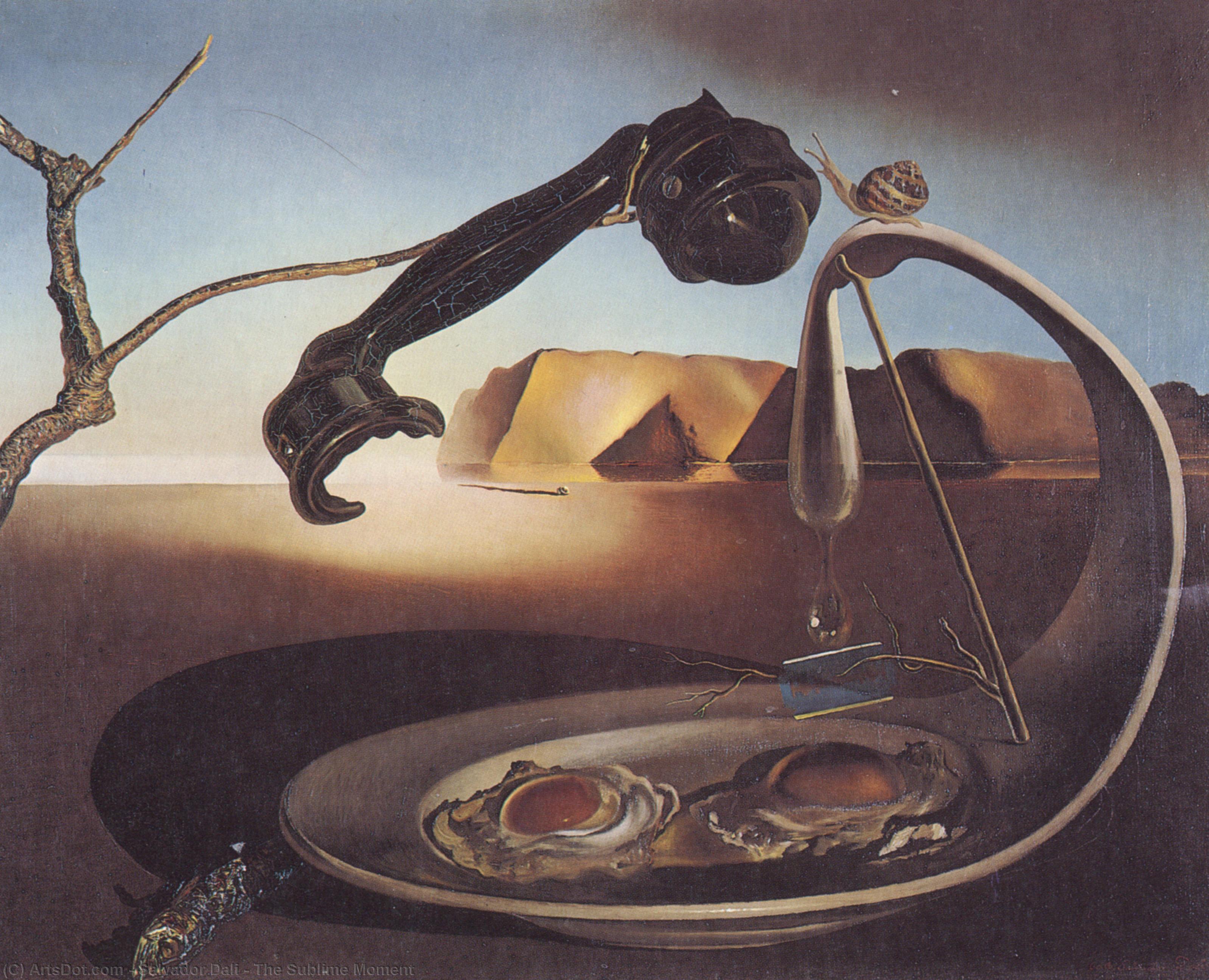 Wikioo.org - The Encyclopedia of Fine Arts - Painting, Artwork by Salvador Dali - The Sublime Moment