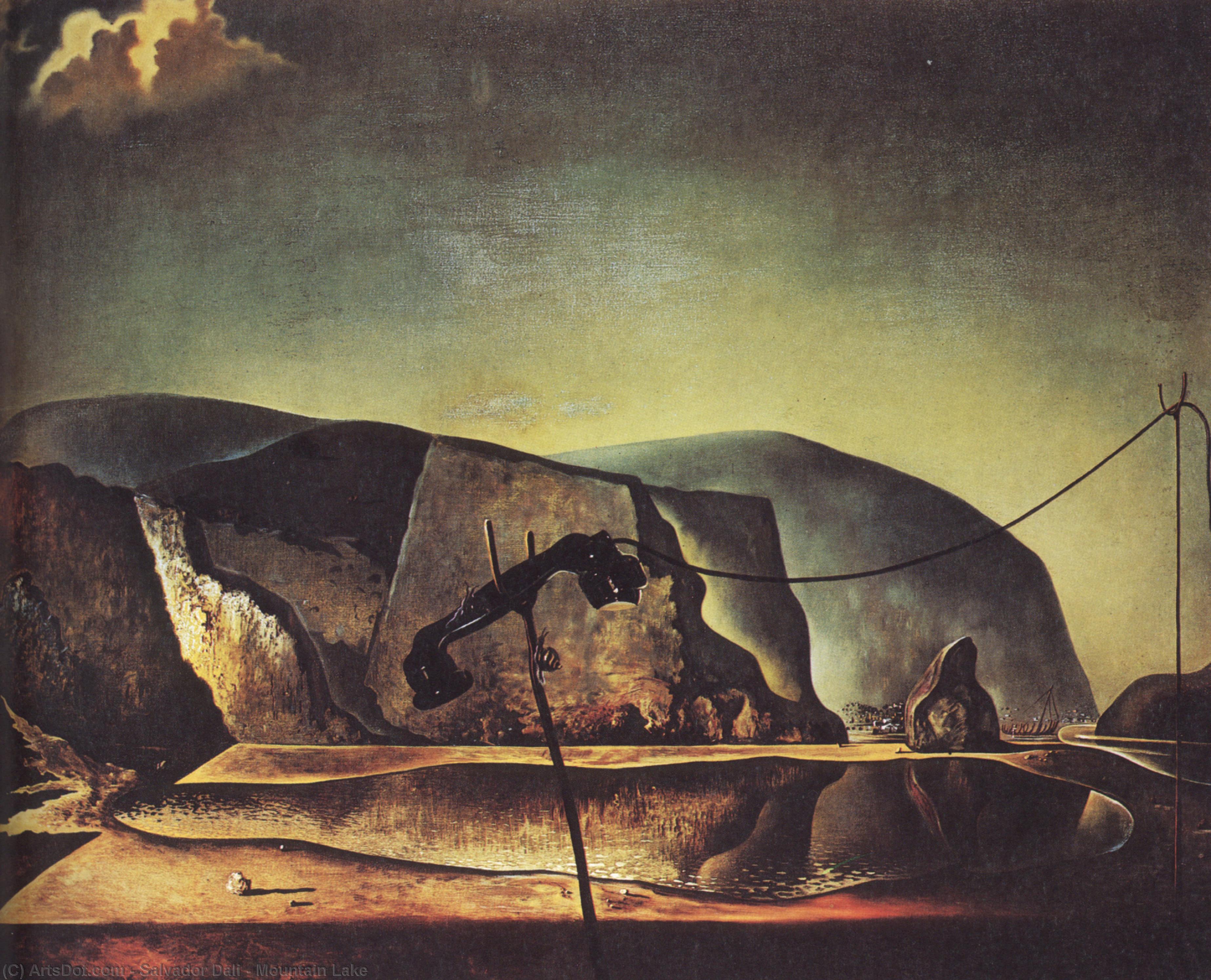 Wikioo.org – La Enciclopedia de las Bellas Artes - Pintura, Obras de arte de Salvador Dali - montaña lago
