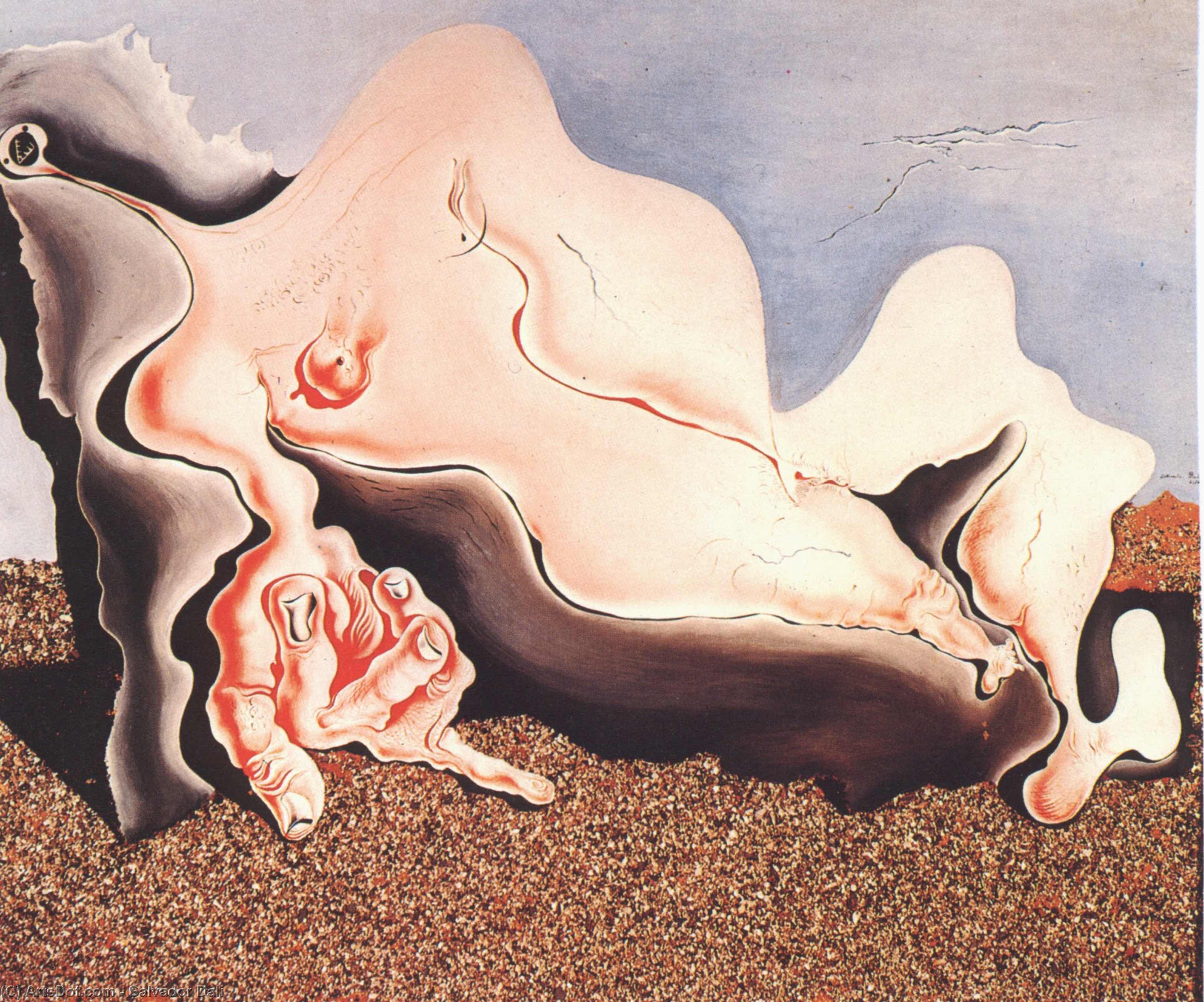 WikiOO.org - Encyclopedia of Fine Arts - Maalaus, taideteos Salvador Dali - Female Bather