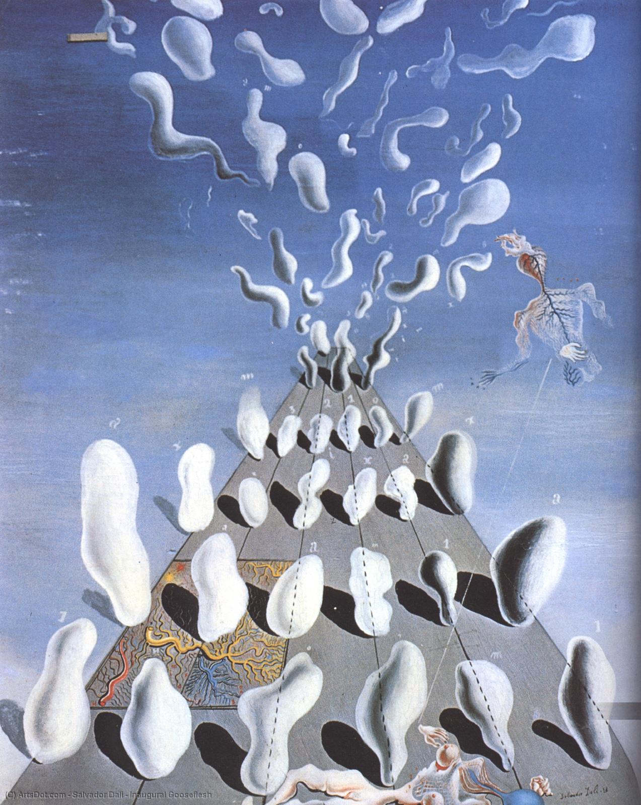Wikioo.org – La Enciclopedia de las Bellas Artes - Pintura, Obras de arte de Salvador Dali - piel de gallina inaugural