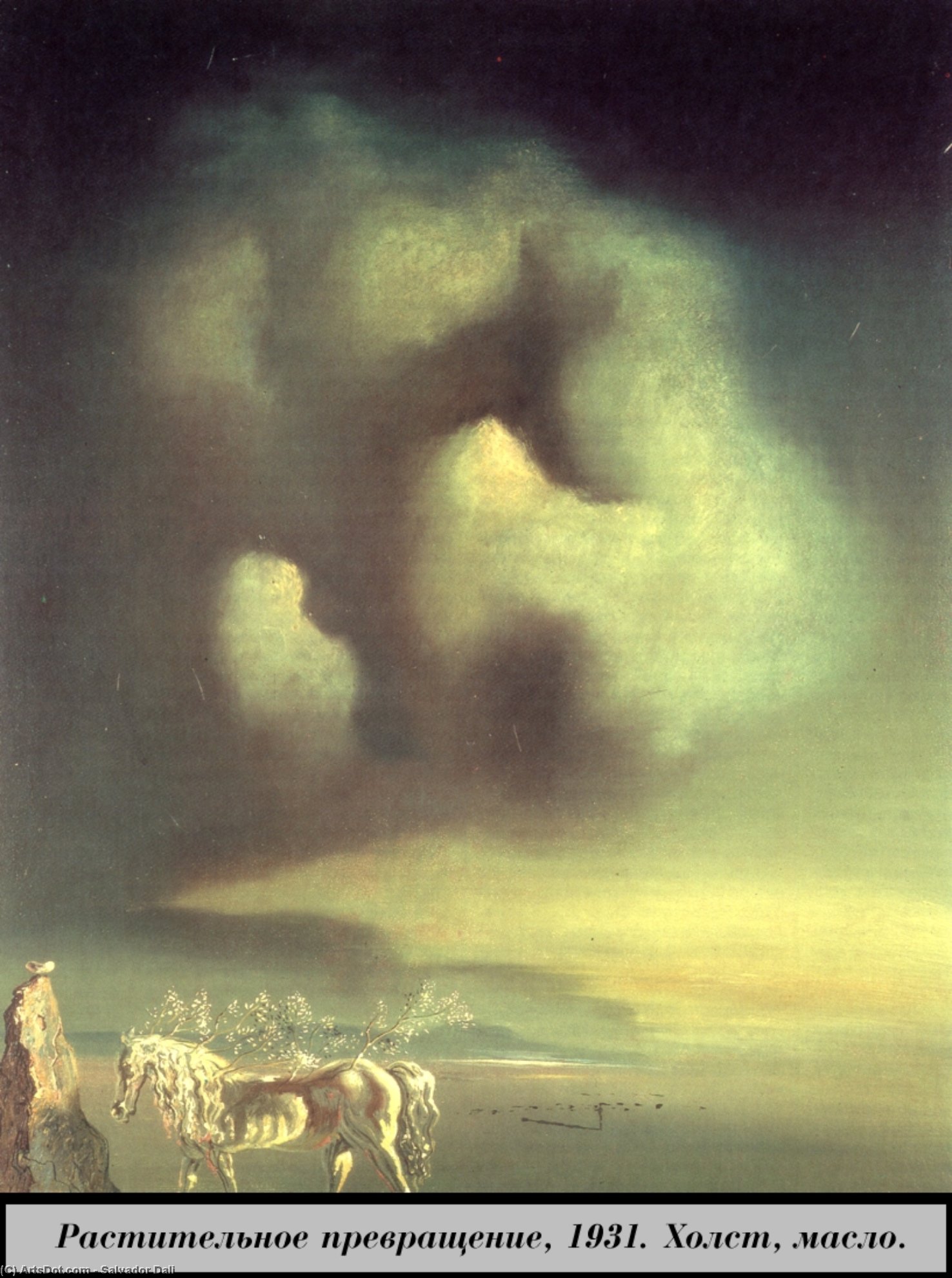 Wikioo.org - The Encyclopedia of Fine Arts - Painting, Artwork by Salvador Dali - Plant transformation
