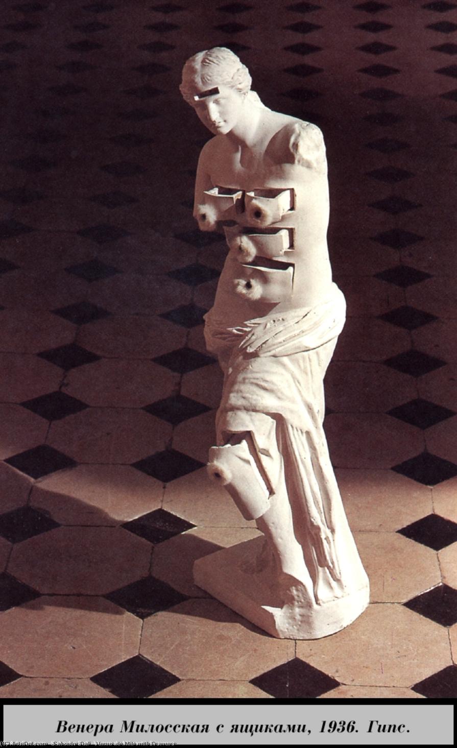 WikiOO.org - Enciklopedija dailės - Tapyba, meno kuriniai Salvador Dali - Venus de Milo with Drawers