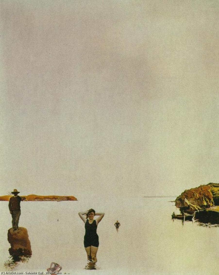 Wikioo.org - The Encyclopedia of Fine Arts - Painting, Artwork by Salvador Dali - White Calm