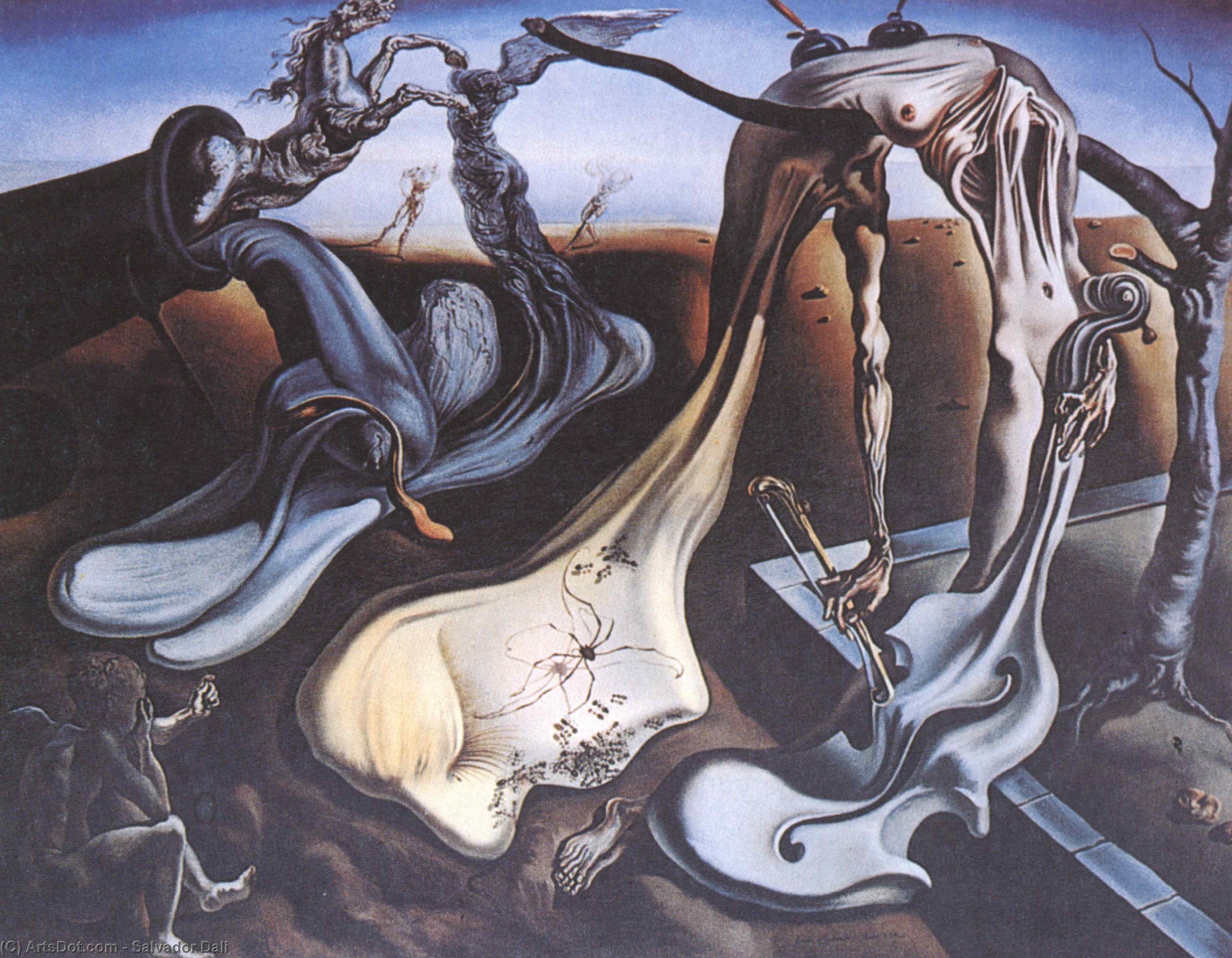 Wikioo.org – La Enciclopedia de las Bellas Artes - Pintura, Obras de arte de Salvador Dali - araña todaclasede  el  por la noche