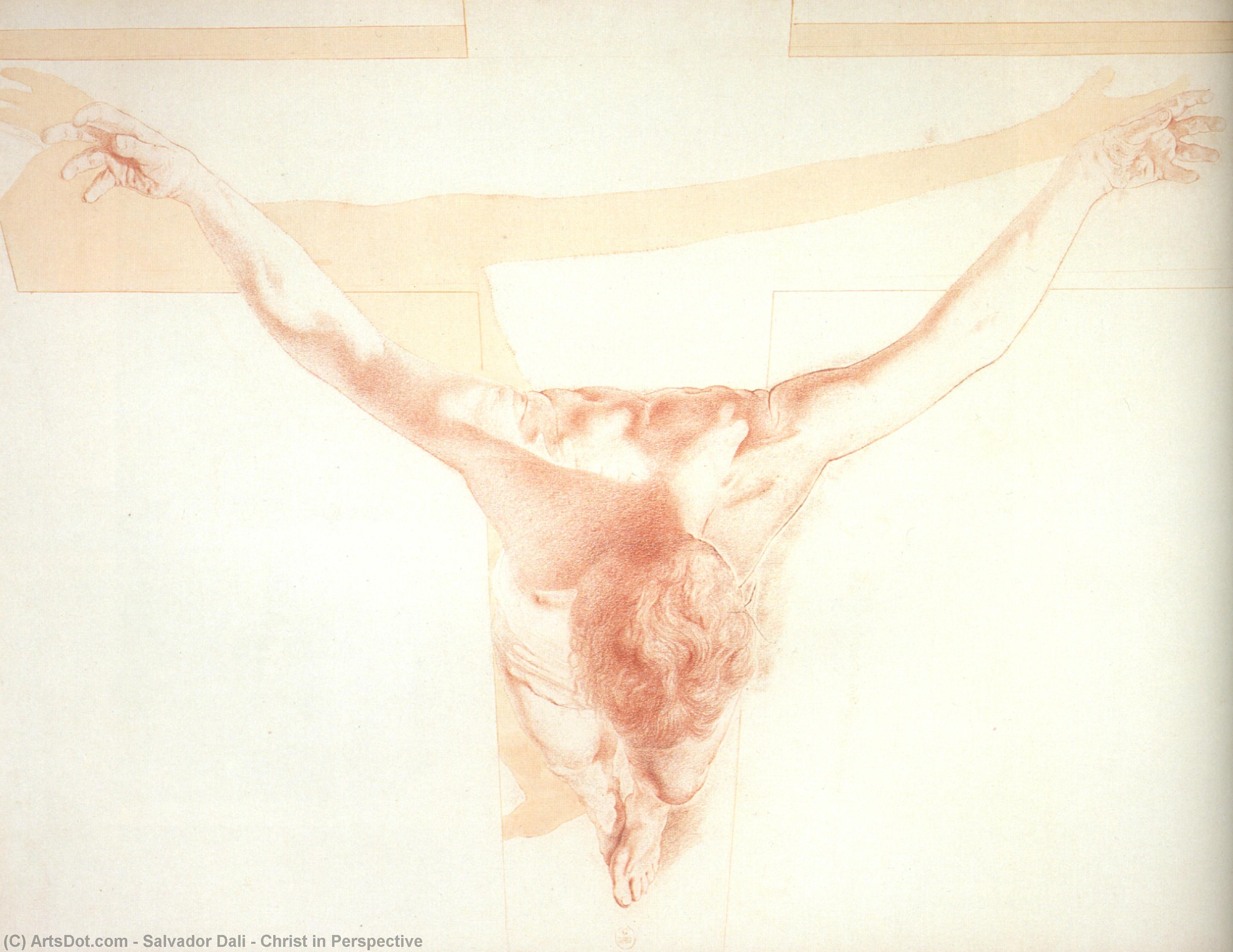 Wikioo.org – La Enciclopedia de las Bellas Artes - Pintura, Obras de arte de Salvador Dali - Cristo cómo  perspectiva