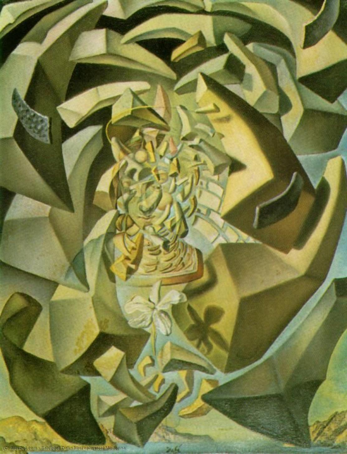Wikioo.org - The Encyclopedia of Fine Arts - Painting, Artwork by Salvador Dali - Microphysical Madonna
