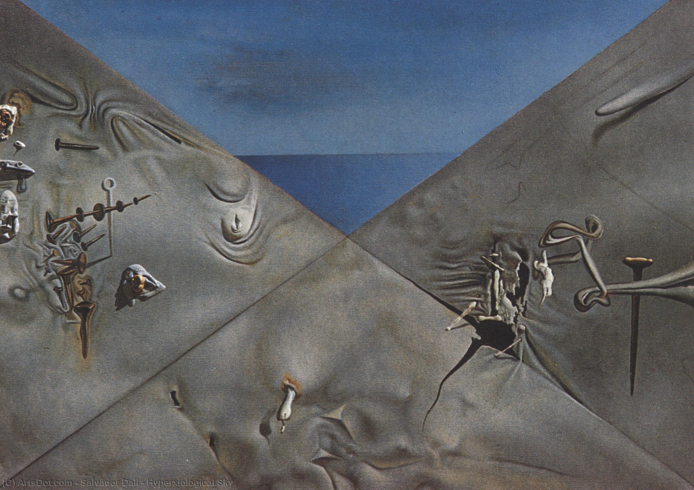 Wikioo.org - สารานุกรมวิจิตรศิลป์ - จิตรกรรม Salvador Dali - Hyperxiological Sky