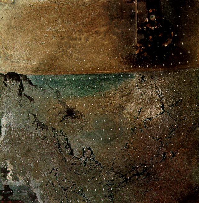 Wikoo.org - موسوعة الفنون الجميلة - اللوحة، العمل الفني Salvador Dali - Landscape with Flies