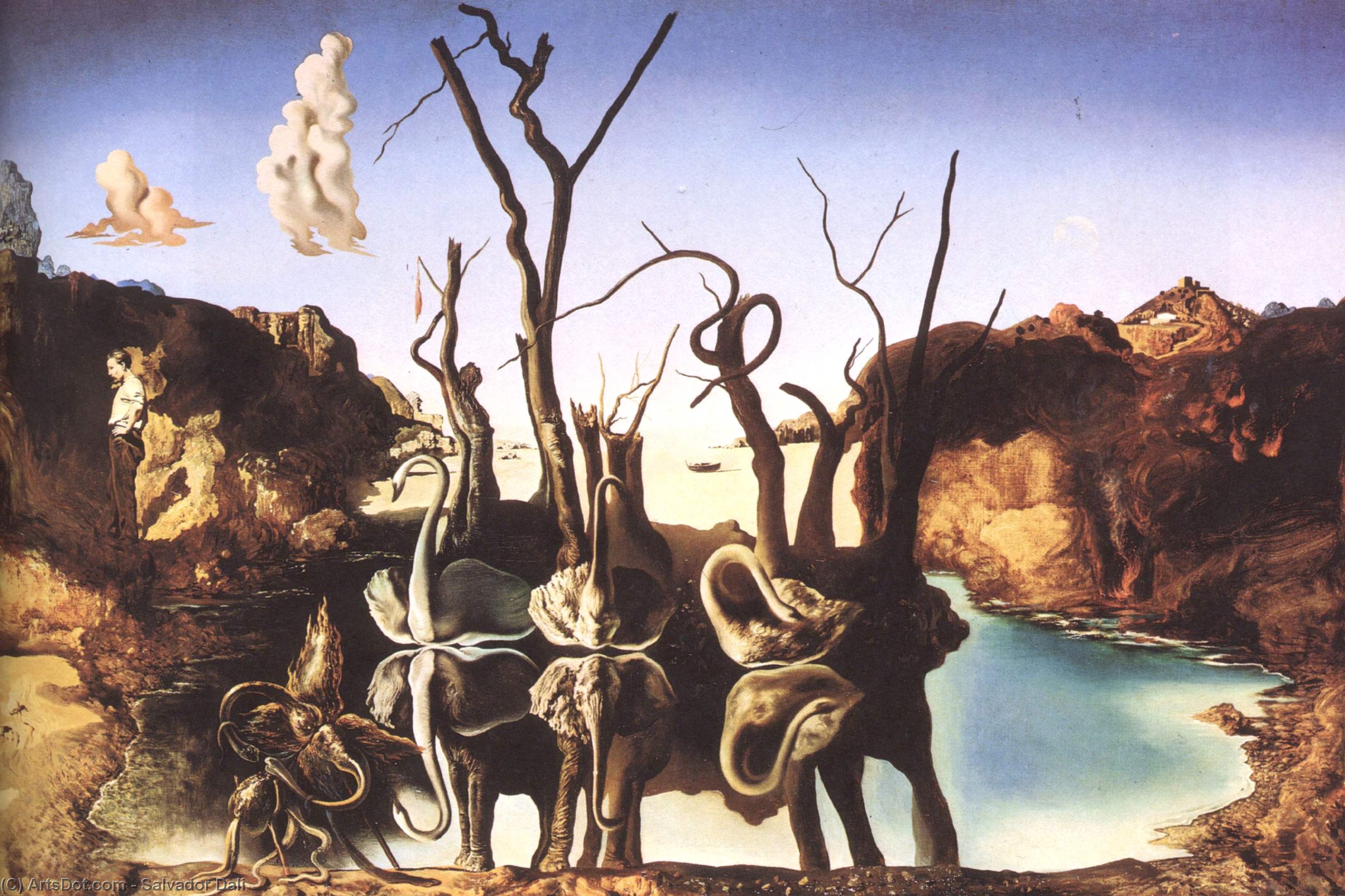 Wikioo.org - สารานุกรมวิจิตรศิลป์ - จิตรกรรม Salvador Dali - Cygnes Refletant Des Elephants