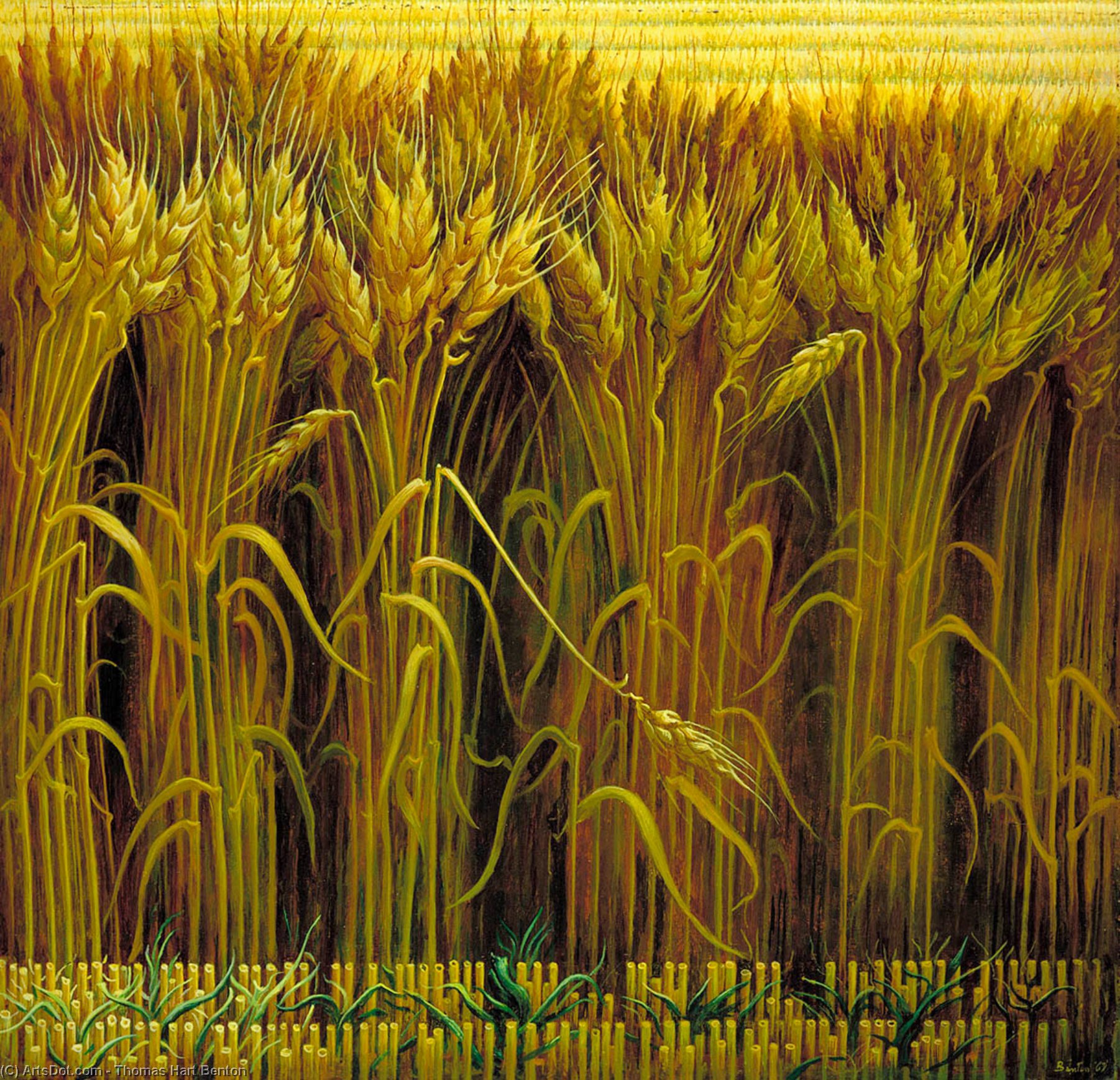 WikiOO.org - Encyclopedia of Fine Arts - Maleri, Artwork Thomas Hart Benton - Wheat