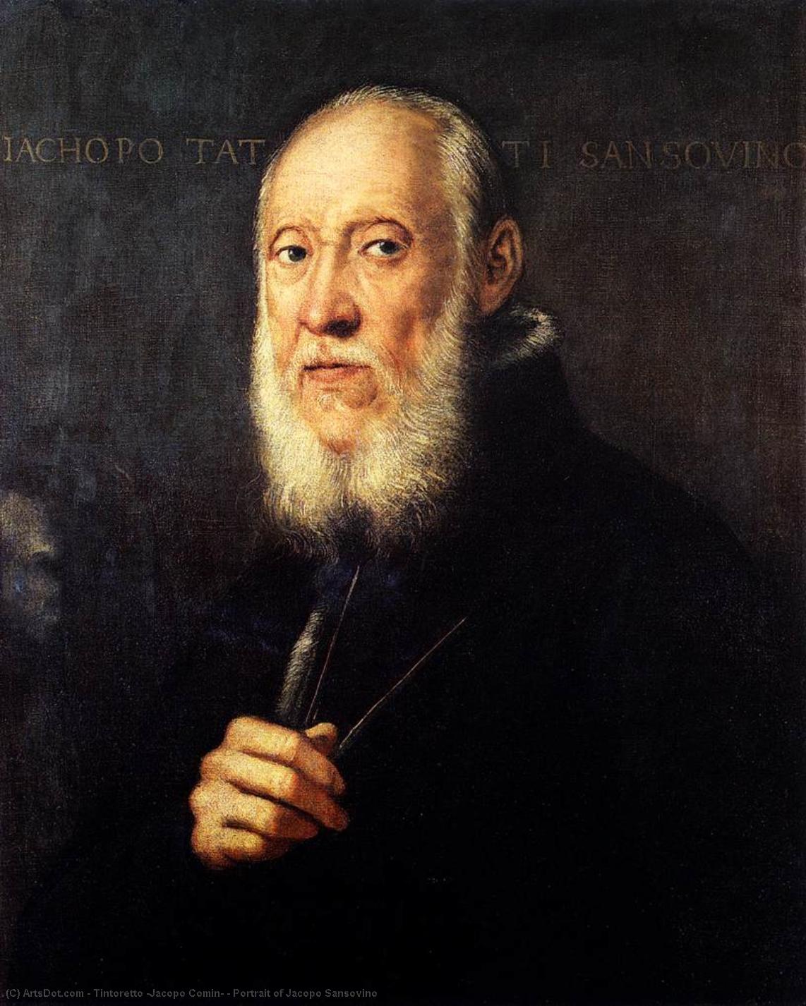 Wikioo.org – La Enciclopedia de las Bellas Artes - Pintura, Obras de arte de Tintoretto (Jacopo Comin) - Botas retrato de jacopo Sansovino