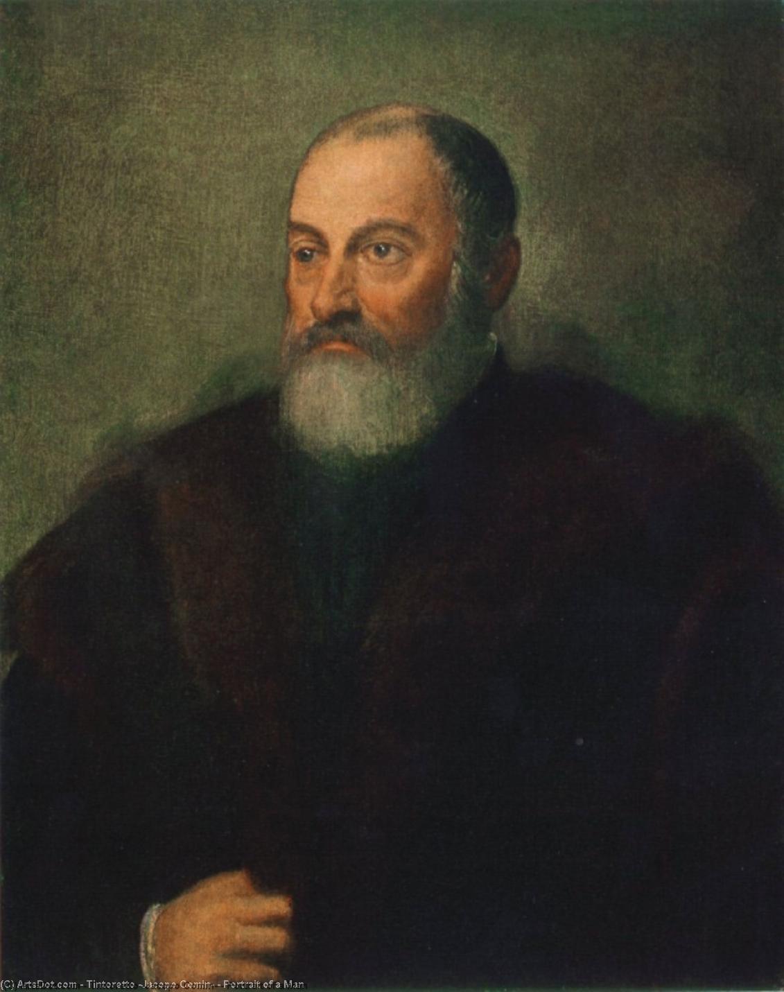 Wikioo.org - Die Enzyklopädie bildender Kunst - Malerei, Kunstwerk von Tintoretto (Jacopo Comin) - porträt von einem mann