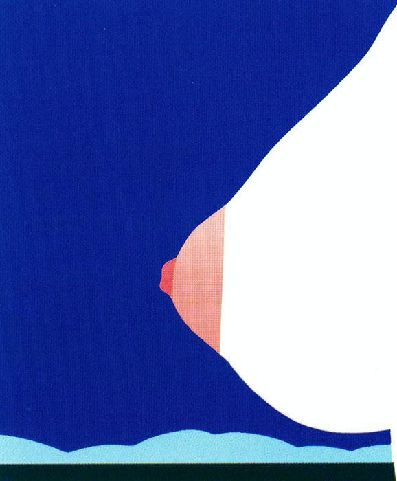 Wikioo.org - The Encyclopedia of Fine Arts - Painting, Artwork by Tom Wesselmann - Seascape