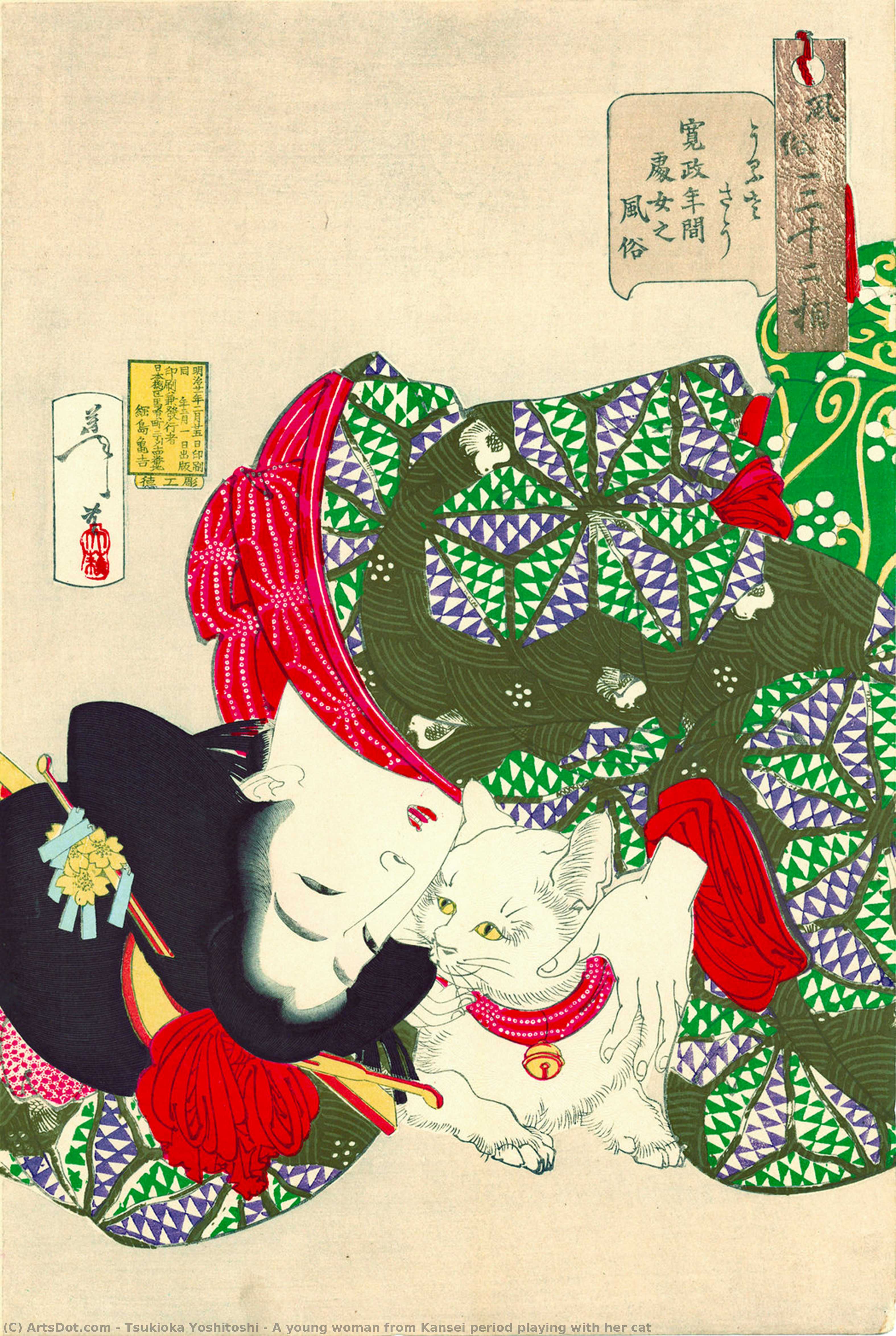 Wikioo.org - Bách khoa toàn thư về mỹ thuật - Vẽ tranh, Tác phẩm nghệ thuật Tsukioka Yoshitoshi - A young woman from Kansei period playing with her cat